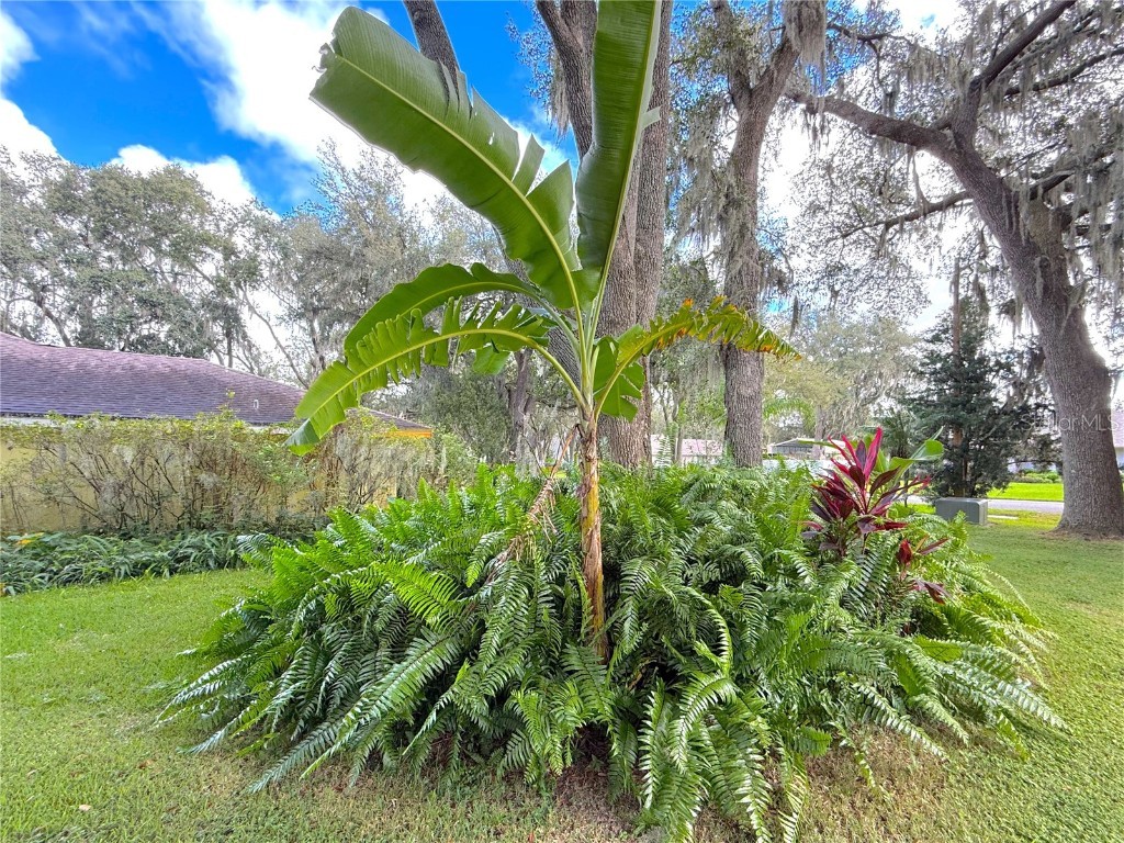 5901 Deer Flag Drive Lakeland FL 33811 O6350453 image10