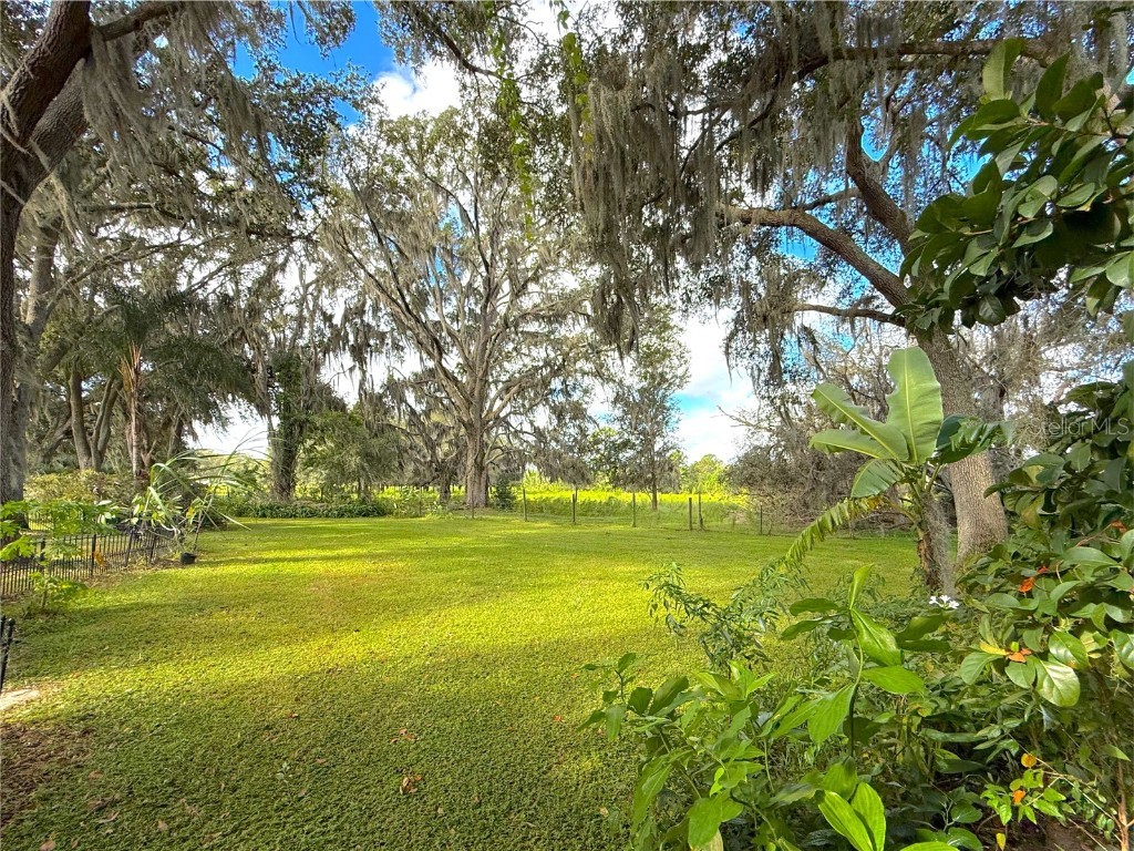 5901 Deer Flag Drive Lakeland FL 33811 O6350453 image40