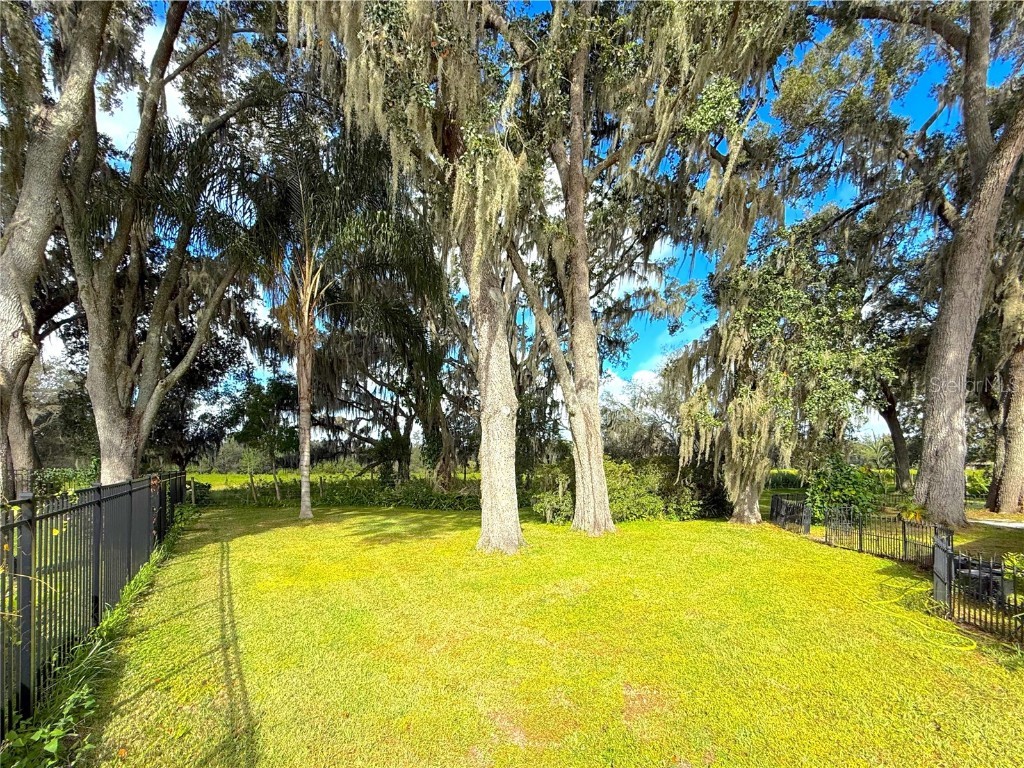 5901 Deer Flag Drive Lakeland FL 33811 O6350453 image41