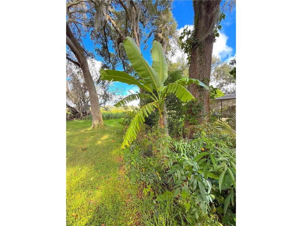 5901 Deer Flag Drive Lakeland FL 33811 O6350453 image42