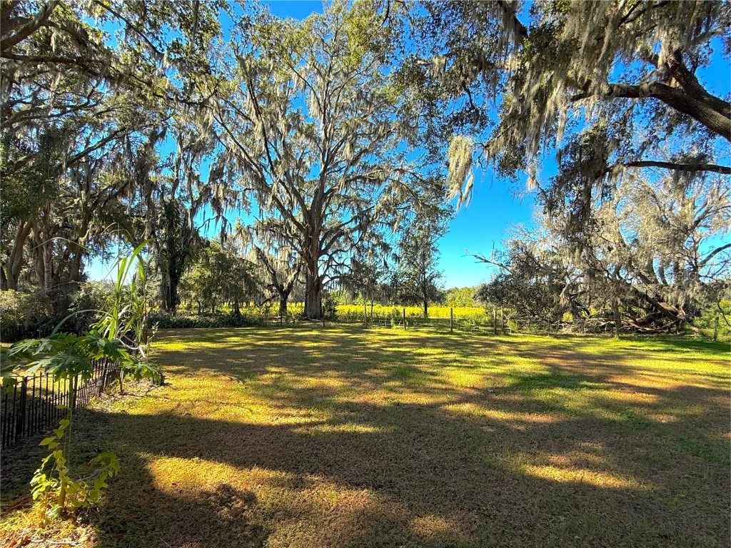 5901 Deer Flag Drive Lakeland FL 33811 O6350453 image44