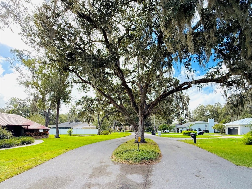 5901 Deer Flag Drive Lakeland FL 33811 O6350453 image8