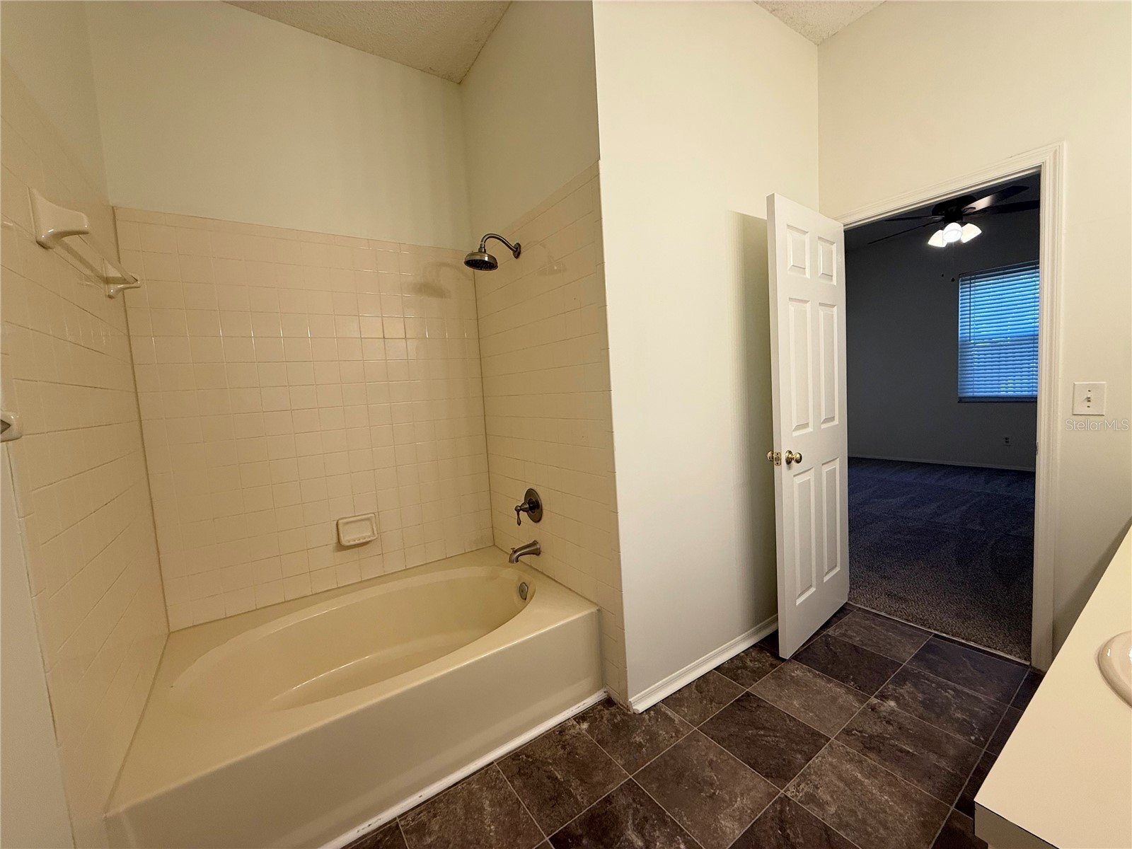 5901 Erhardt Drive Riverview FL 33578 TB8472692 image15