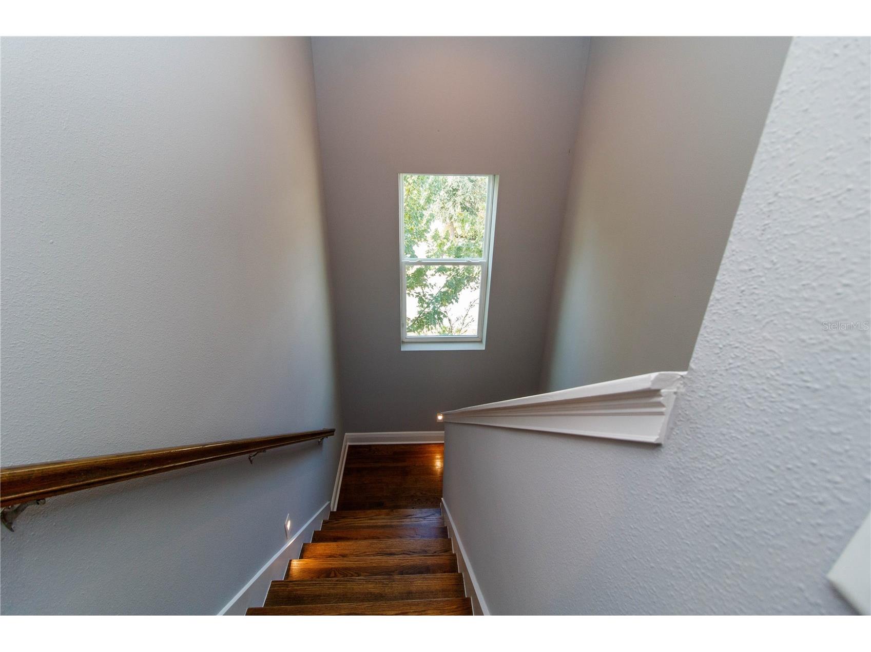 5901 Nature Ridge Lane Lithia FL 33547 TB8441902 image38