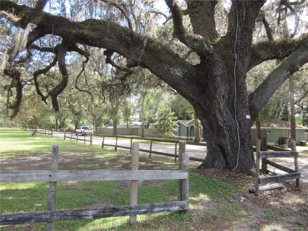 5901 S Highway 314a Ocklawaha FL 32179 OM713382 image11