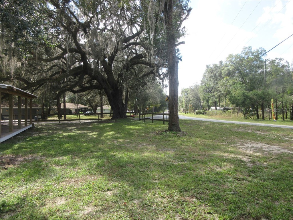 5901 S Highway 314a Ocklawaha FL 32179 OM713382 image12