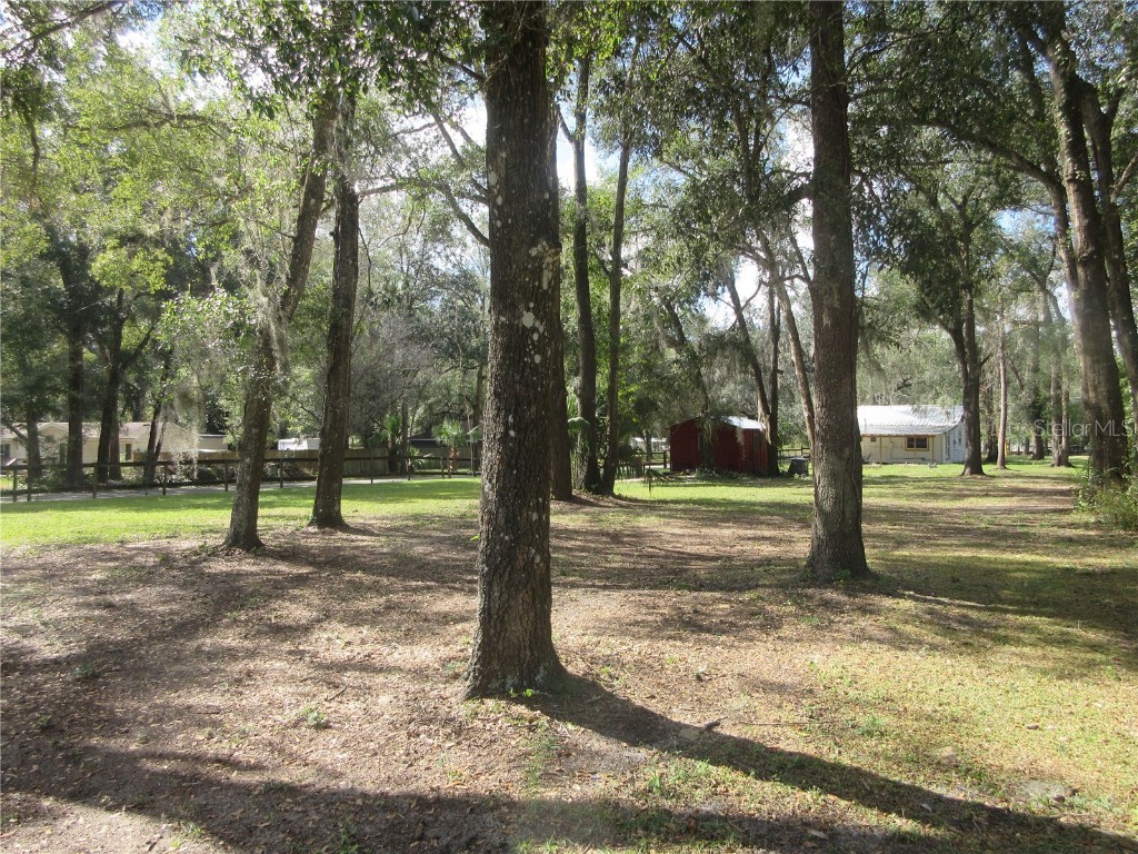 5901 S Highway 314a Ocklawaha FL 32179 OM713382 image18