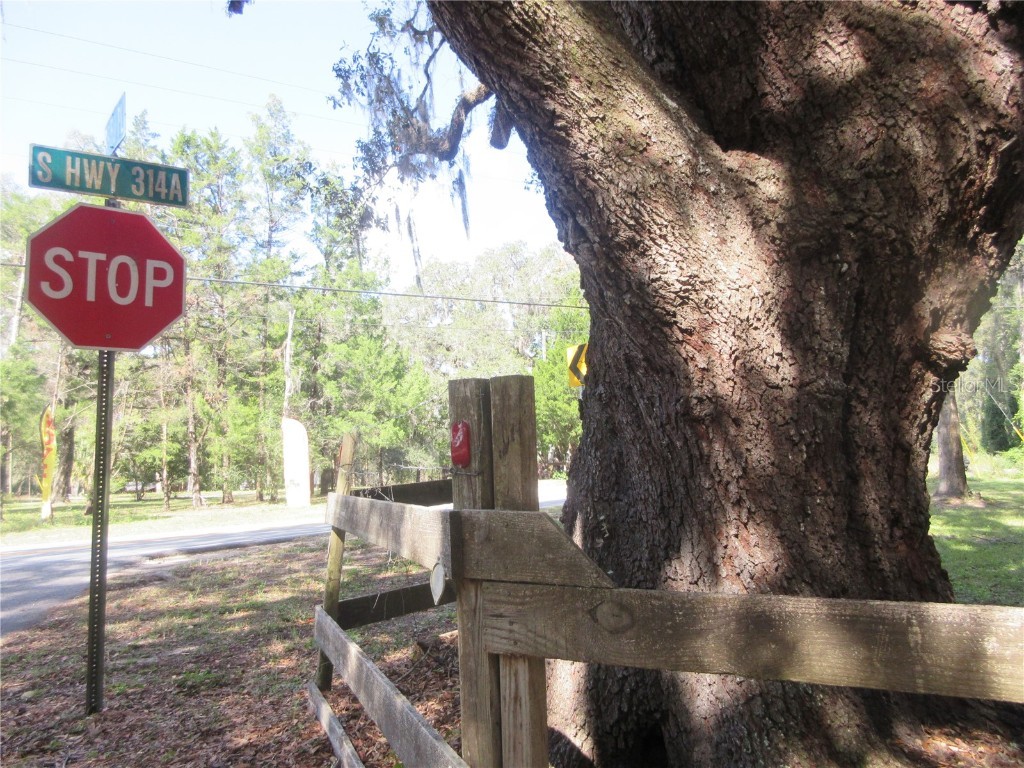 5901 S Highway 314a Ocklawaha FL 32179 OM713382 image24
