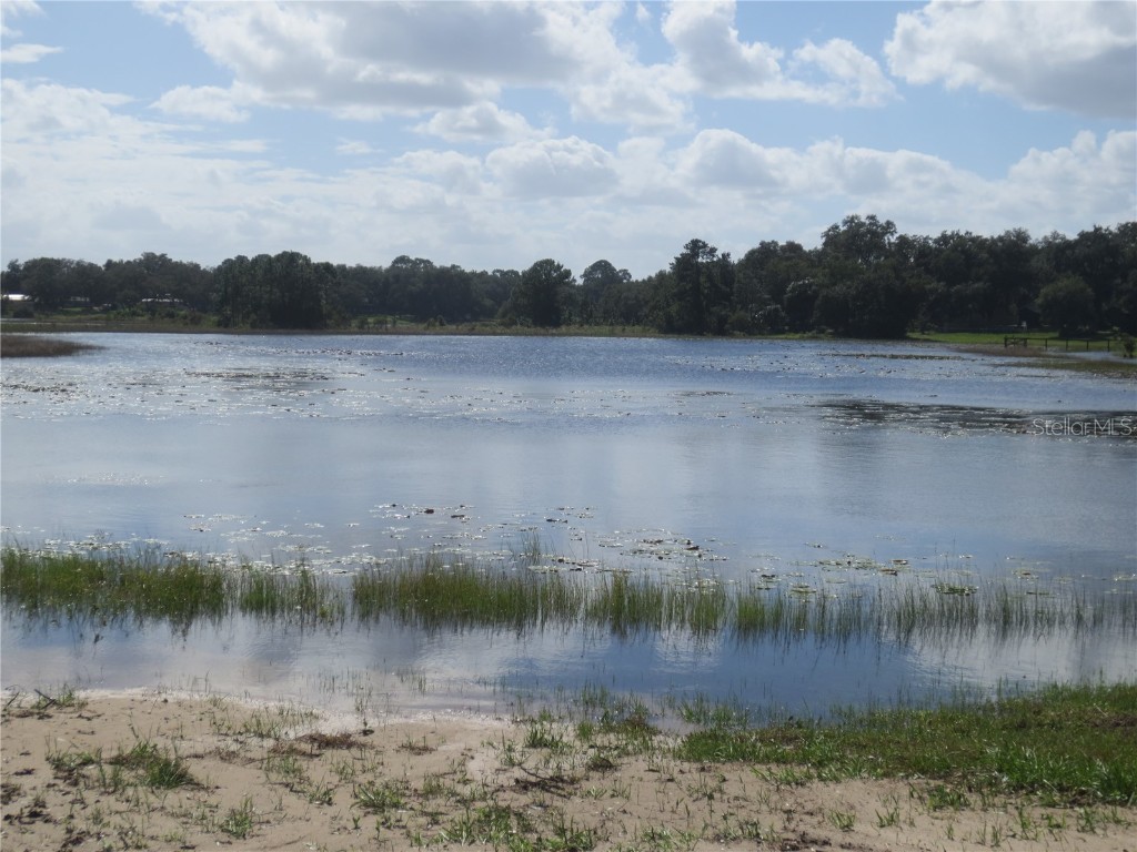 5901 S Highway 314a Ocklawaha FL 32179 OM713382 image76