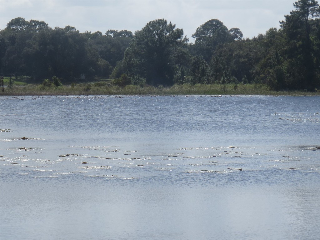 5901 S Highway 314a Ocklawaha FL 32179 OM713382 image77