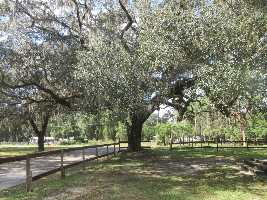 5901 S Highway 314a Ocklawaha FL 32179 OM713382 image9