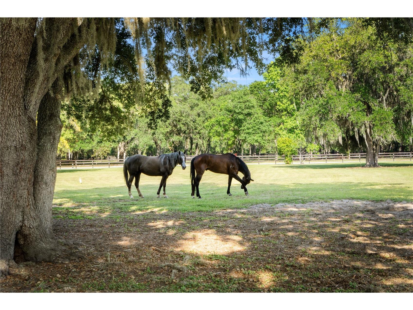 5901 Solana Street Elkton FL 32033 - CREEK NS1088194 image10