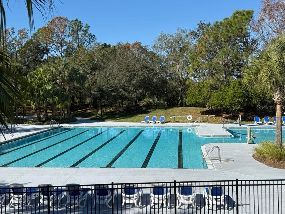 5901 Wrenwater Drive Lithia FL 33547 TB8504637 image16
