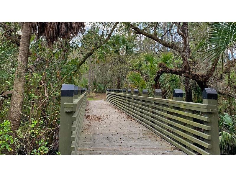 5901 Wrenwater Drive Lithia FL 33547 TB8504637 image17