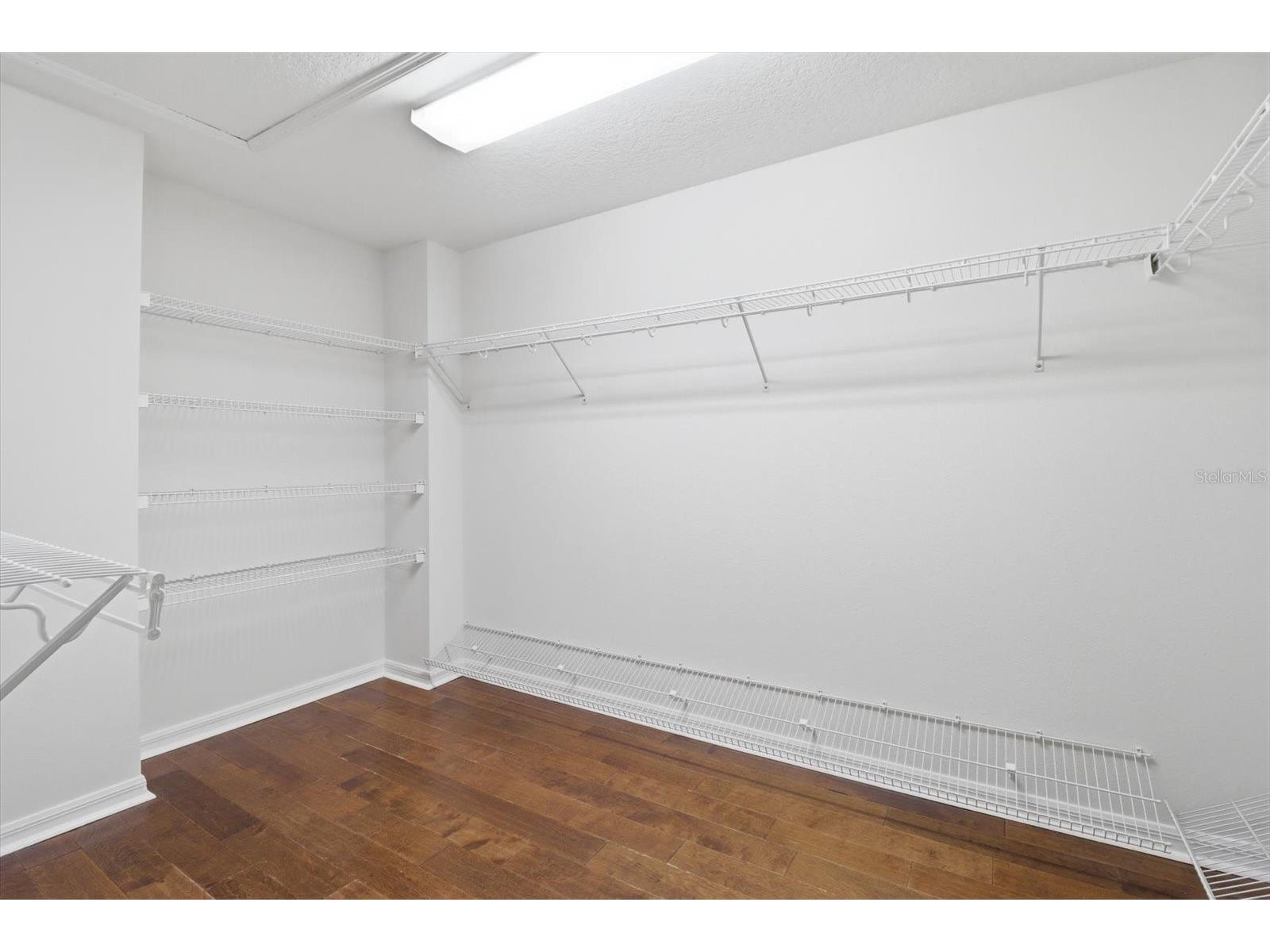 5902 Hammock Woods Drive Odessa FL 33556 TB8496750 image20