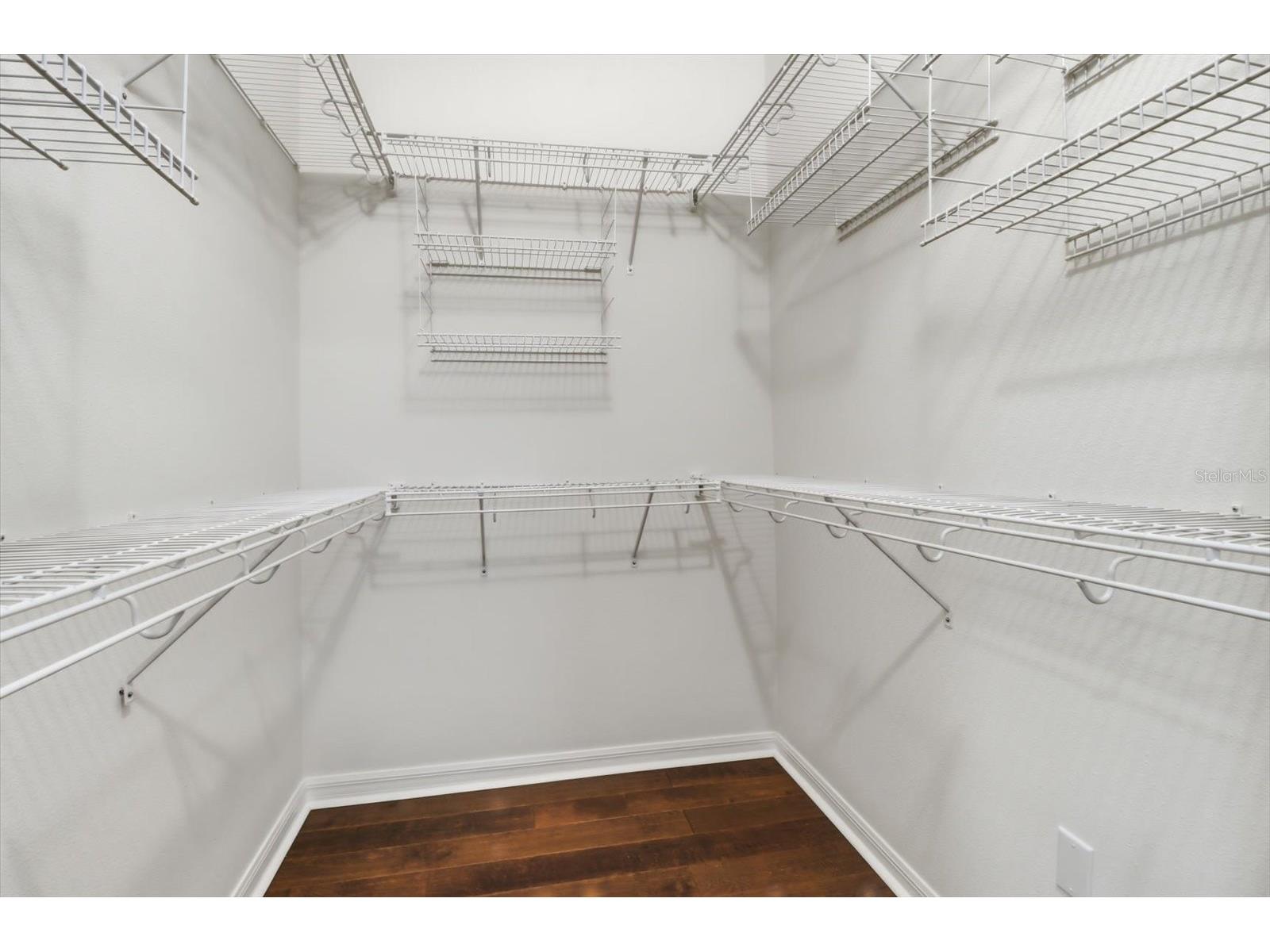 5902 Hammock Woods Drive Odessa FL 33556 TB8496750 image21