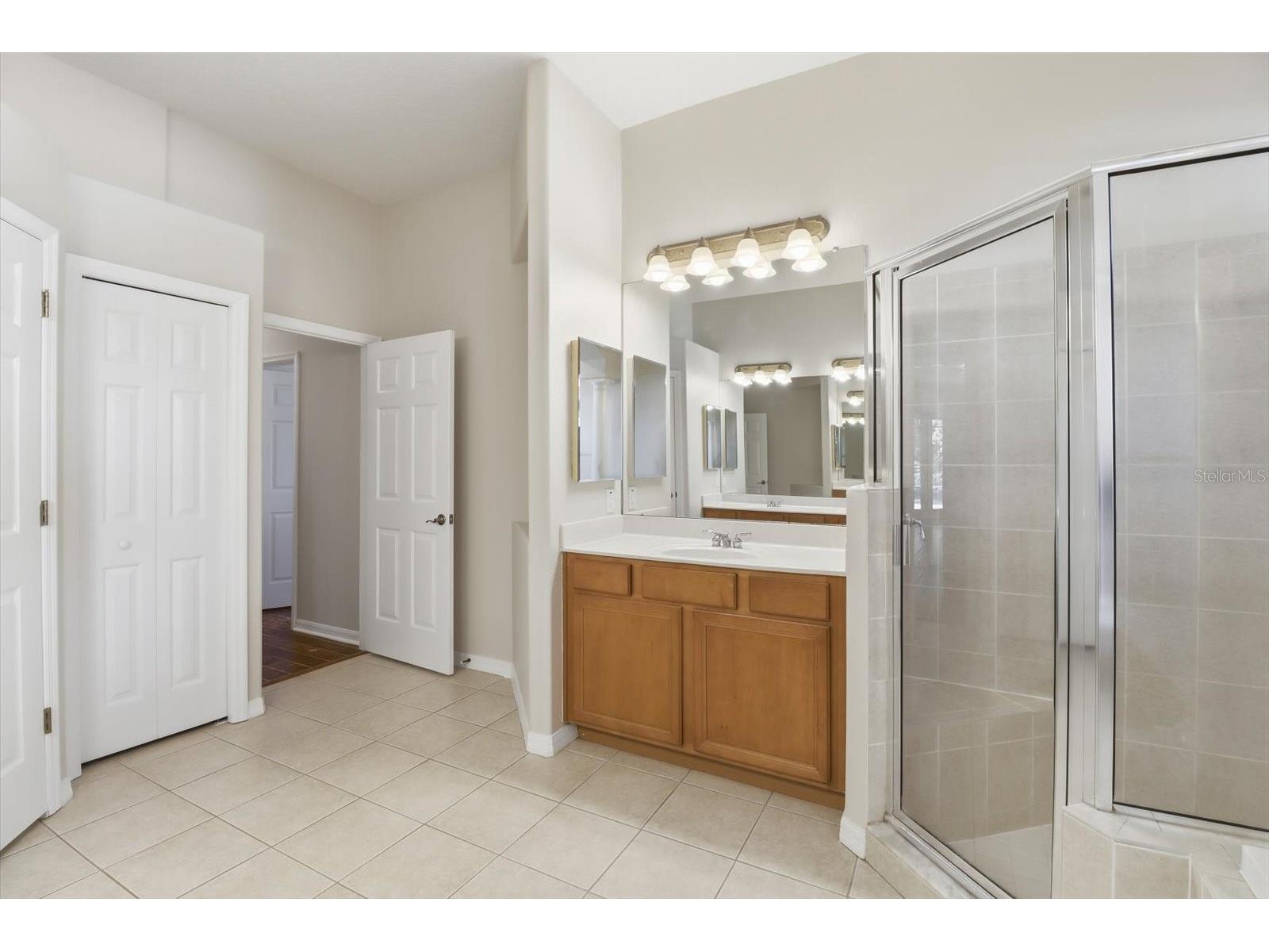 5902 Hammock Woods Drive Odessa FL 33556 TB8496750 image23