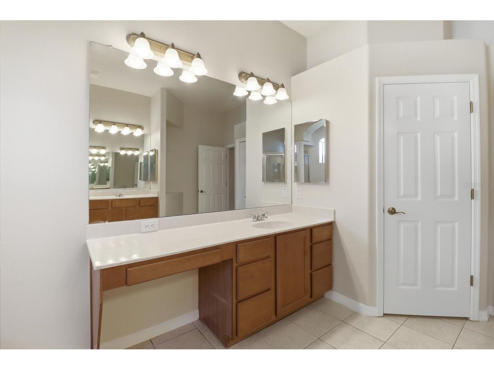 5902 Hammock Woods Drive Odessa FL 33556 TB8496750 image24