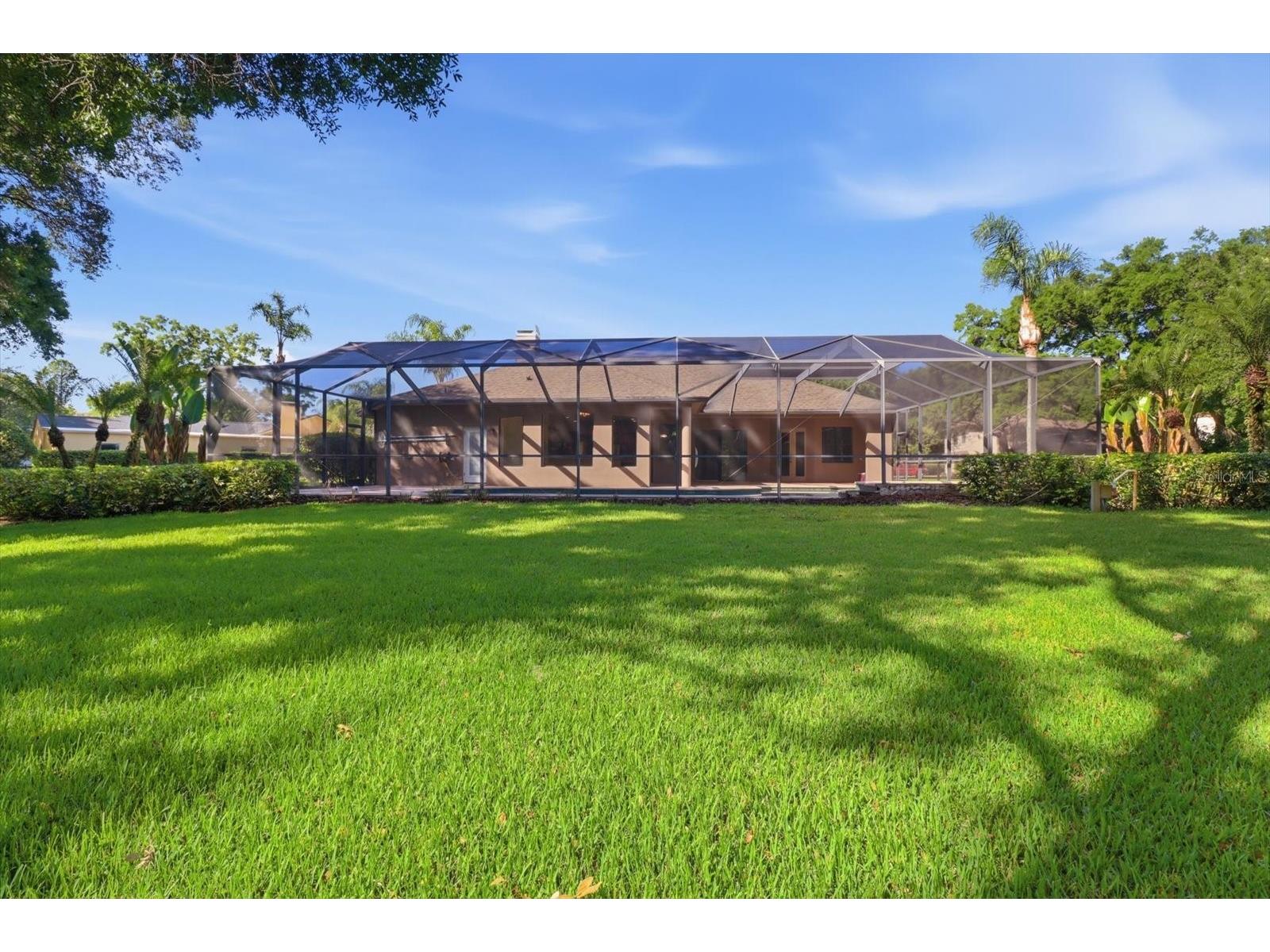 5902 Hammock Woods Drive Odessa FL 33556 TB8496750 image41