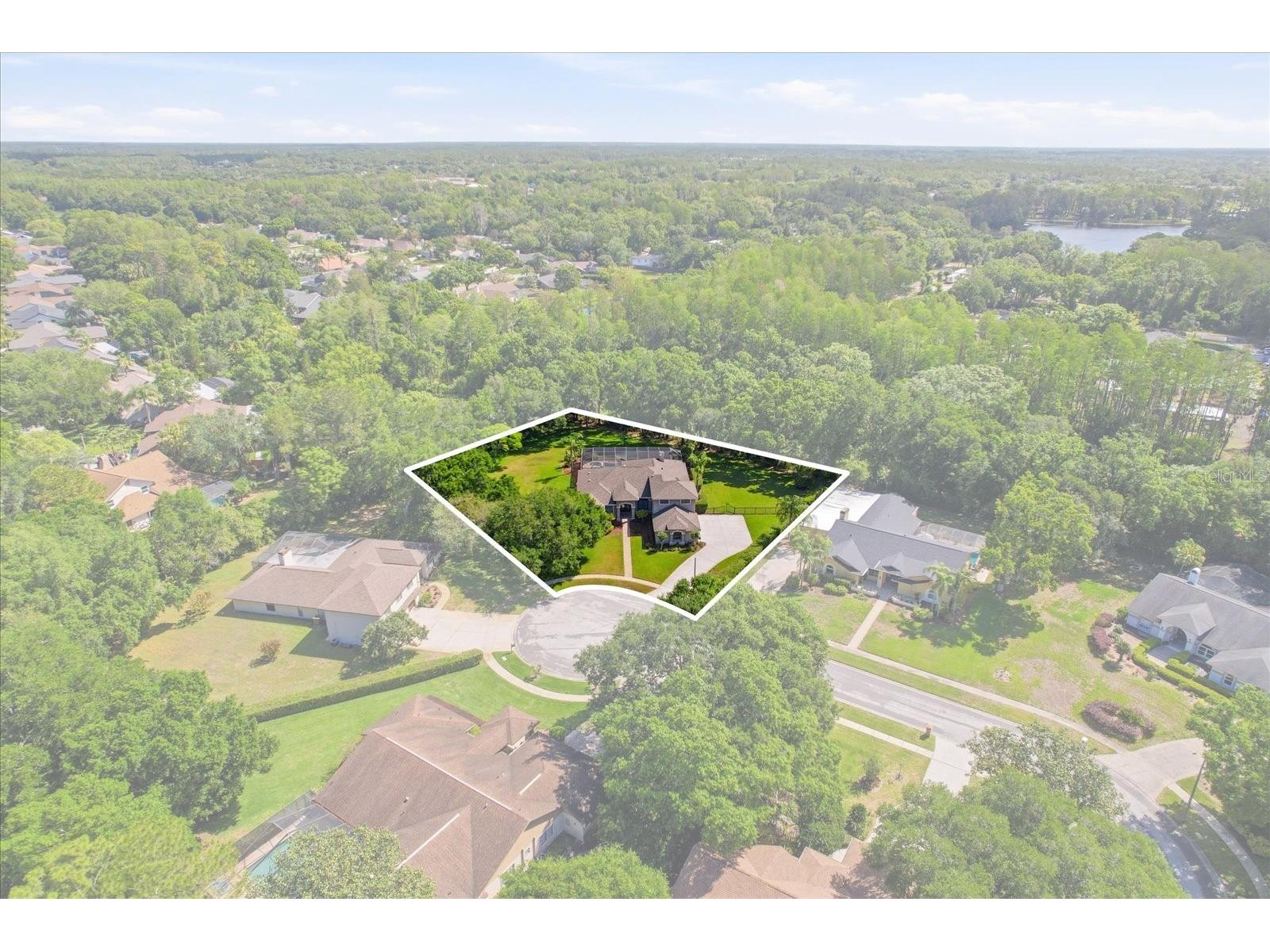 5902 Hammock Woods Drive Odessa FL 33556 TB8496750 image42