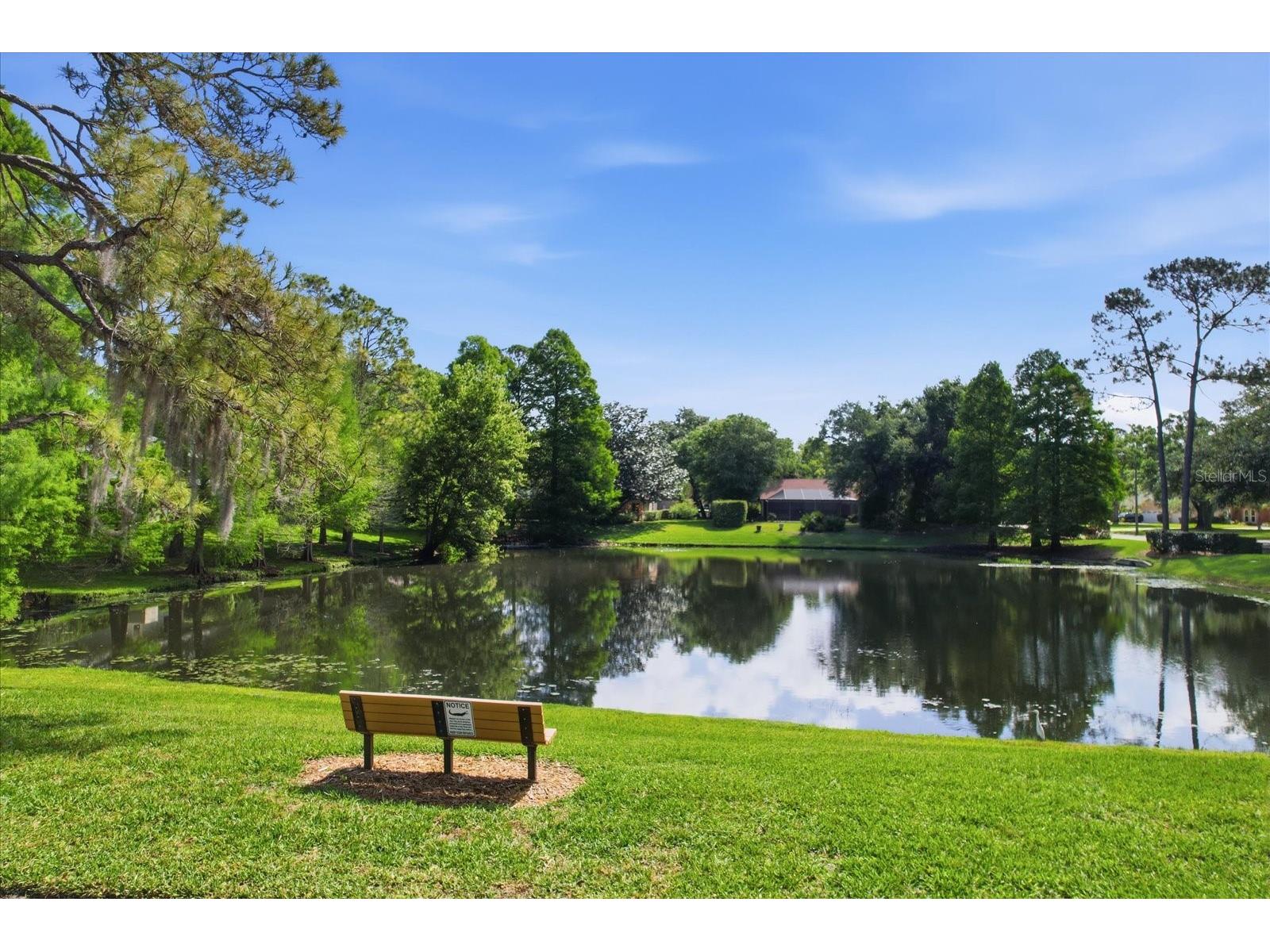 5902 Hammock Woods Drive Odessa FL 33556 TB8496750 image43