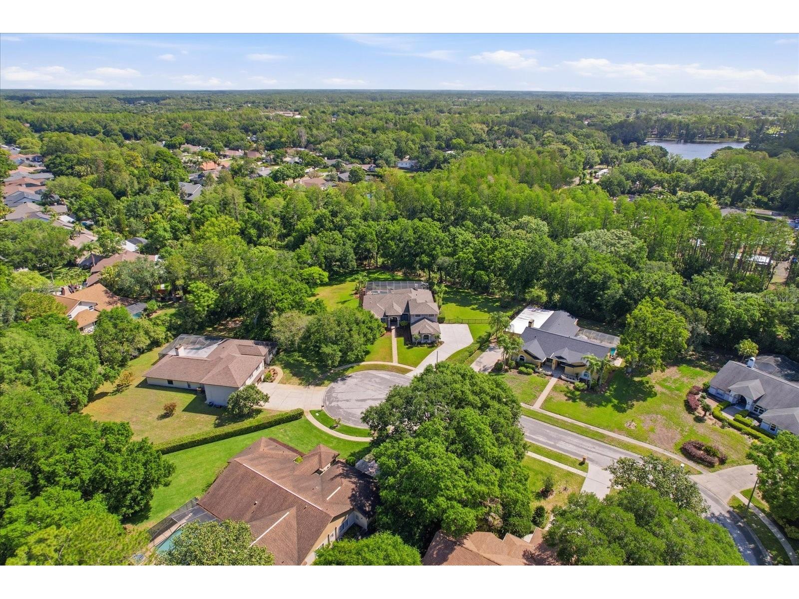 5902 Hammock Woods Drive Odessa FL 33556 TB8496750 image45