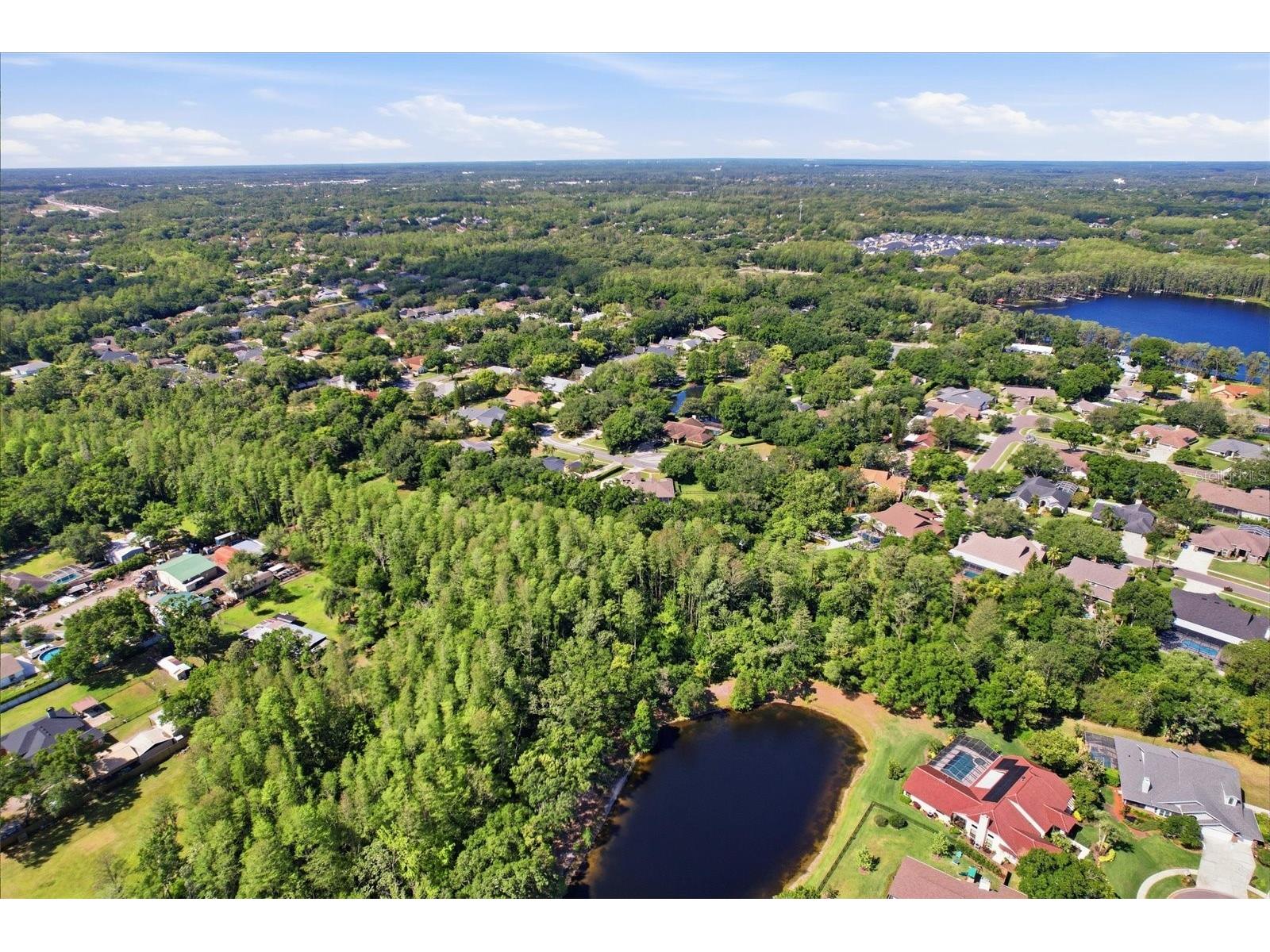 5902 Hammock Woods Drive Odessa FL 33556 TB8496750 image46