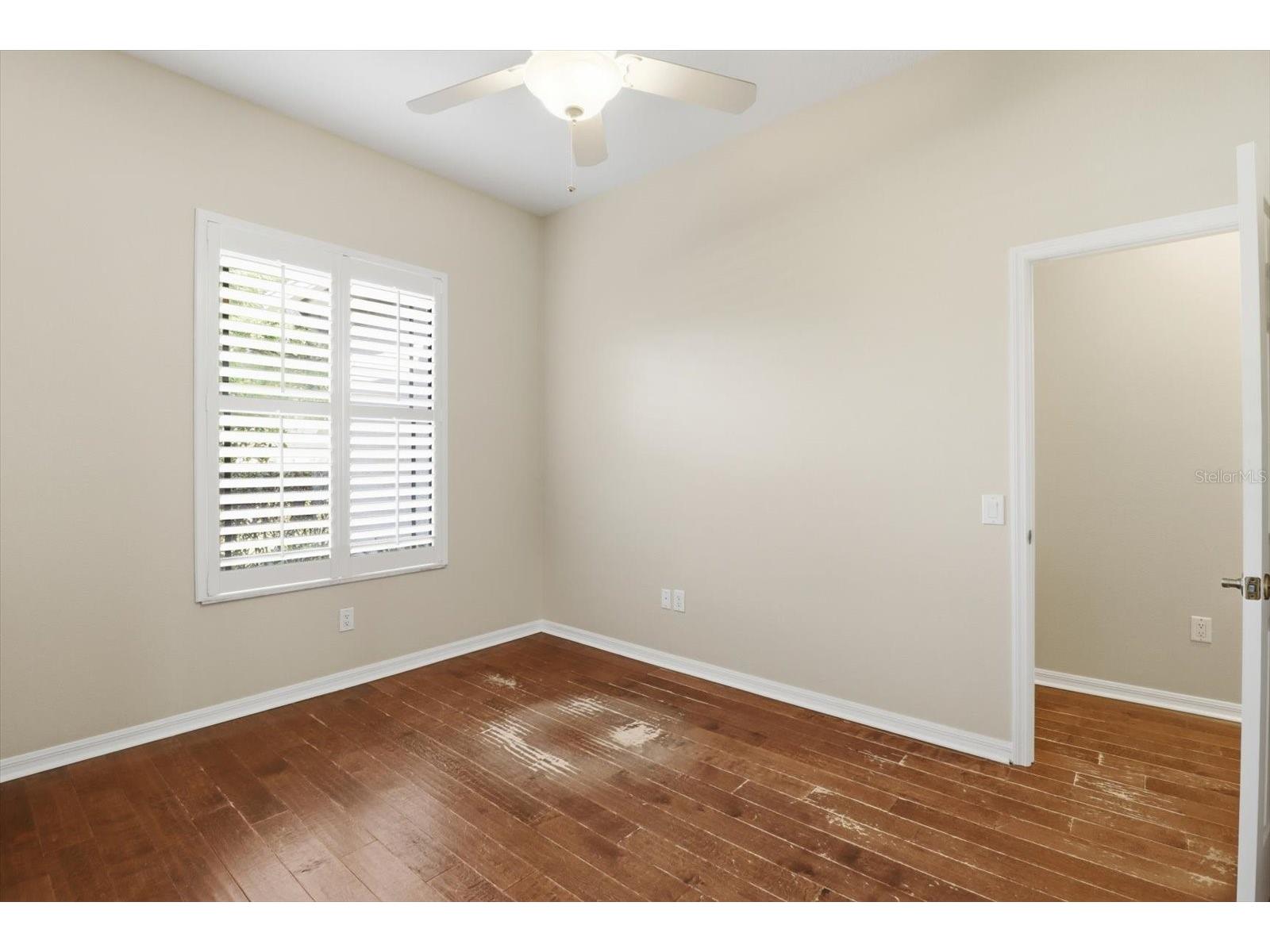 5902 Hammock Woods Drive Odessa FL 33556 TB8496750 image8