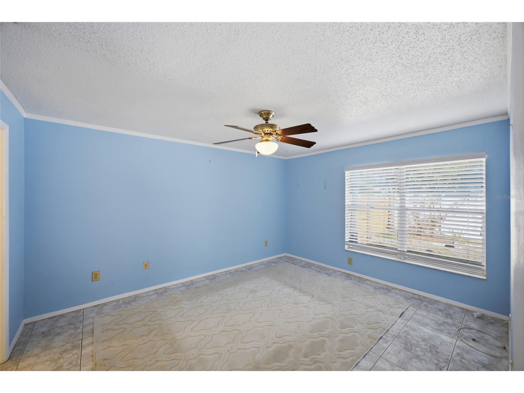 5903 Birchwood Drive Tampa FL 33625 TB8469541 image17