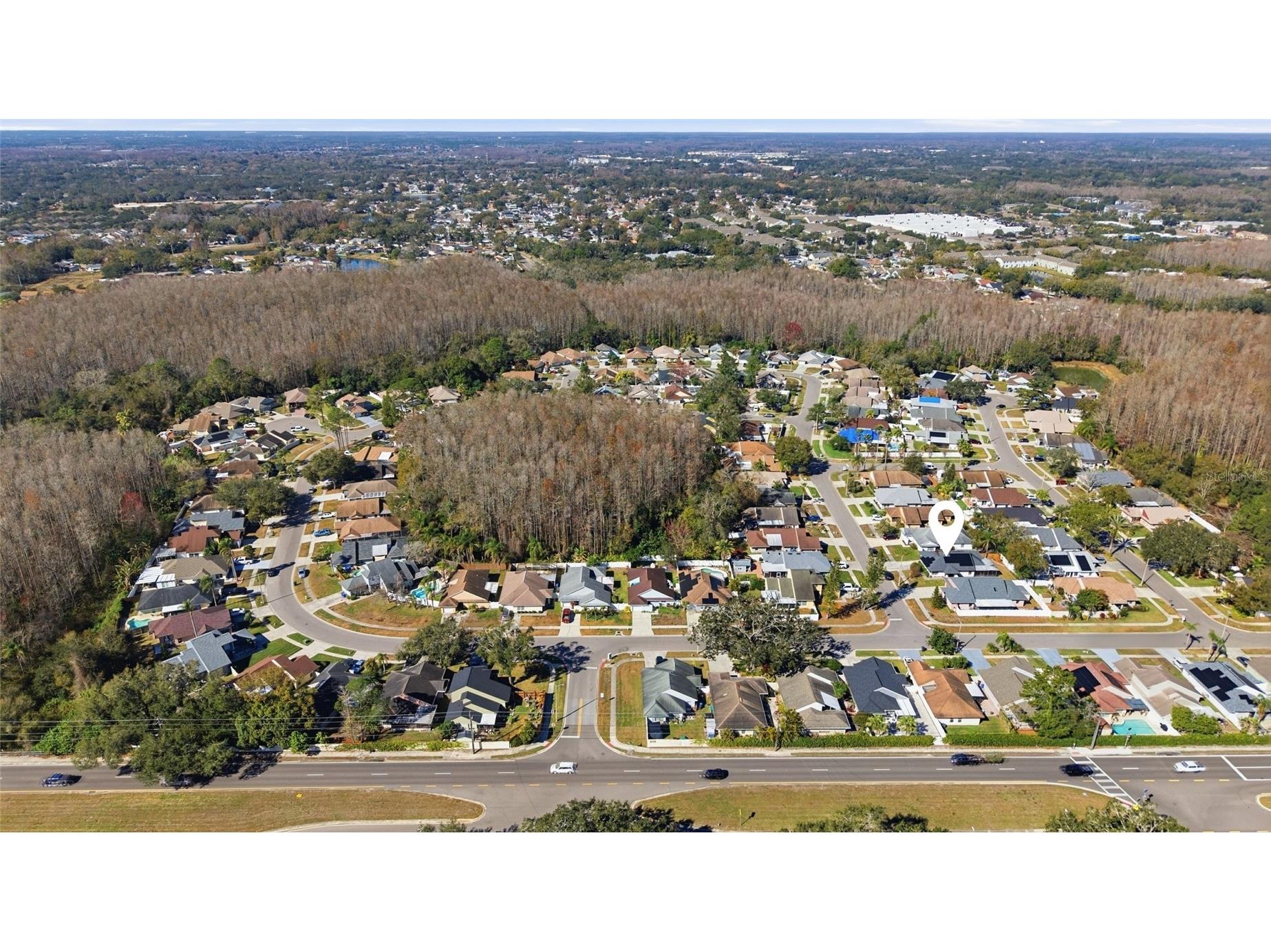 5903 Birchwood Drive Tampa FL 33625 TB8469541 image31