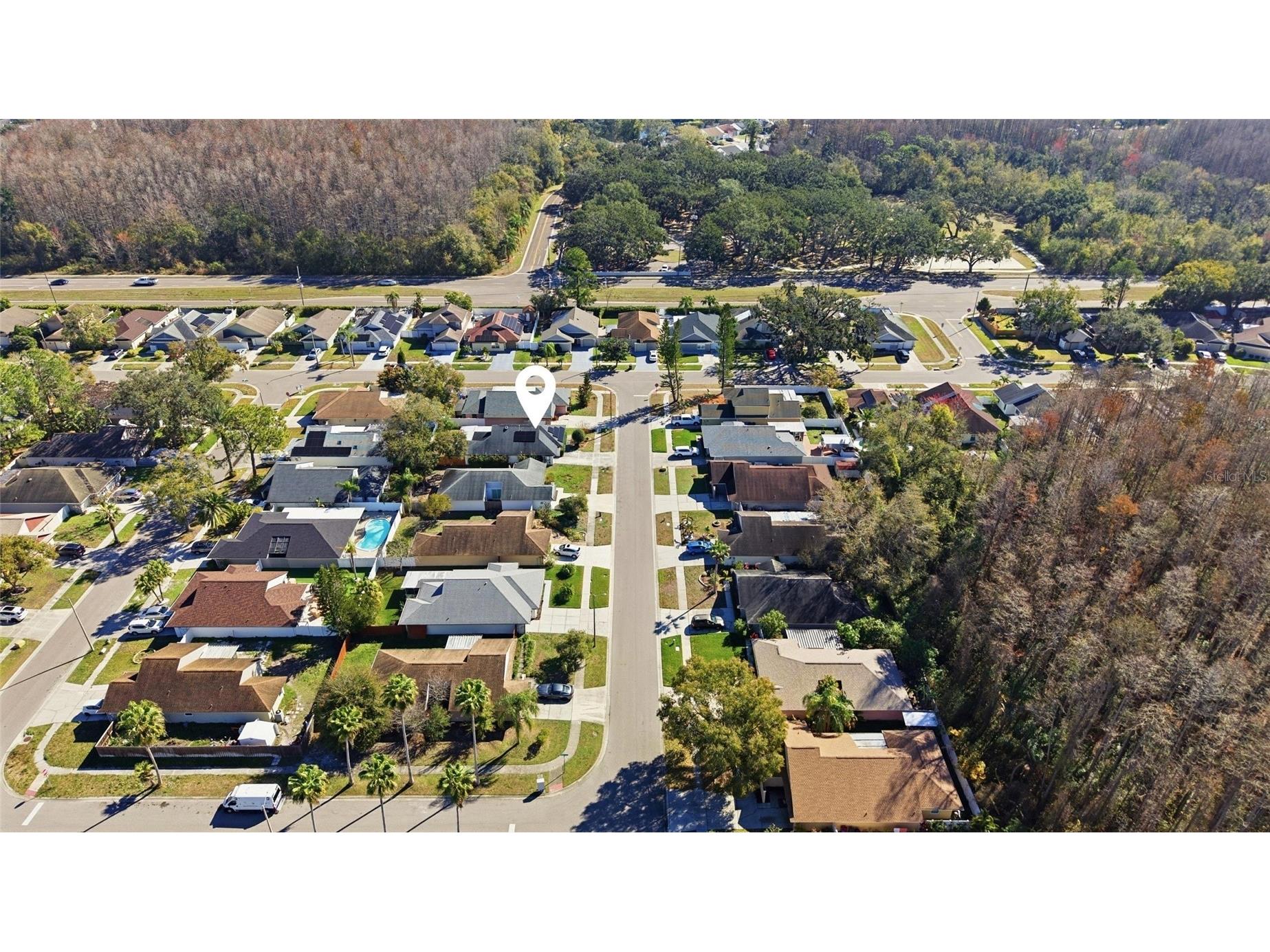 5903 Birchwood Drive Tampa FL 33625 TB8469541 image33