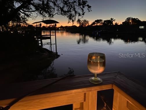 5903 Cachette De Riviera Court New Port Richey FL 34655 W7876818 image35