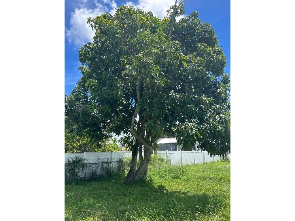 5903 Richard Place Sarasota FL 34231 A4662365 image30