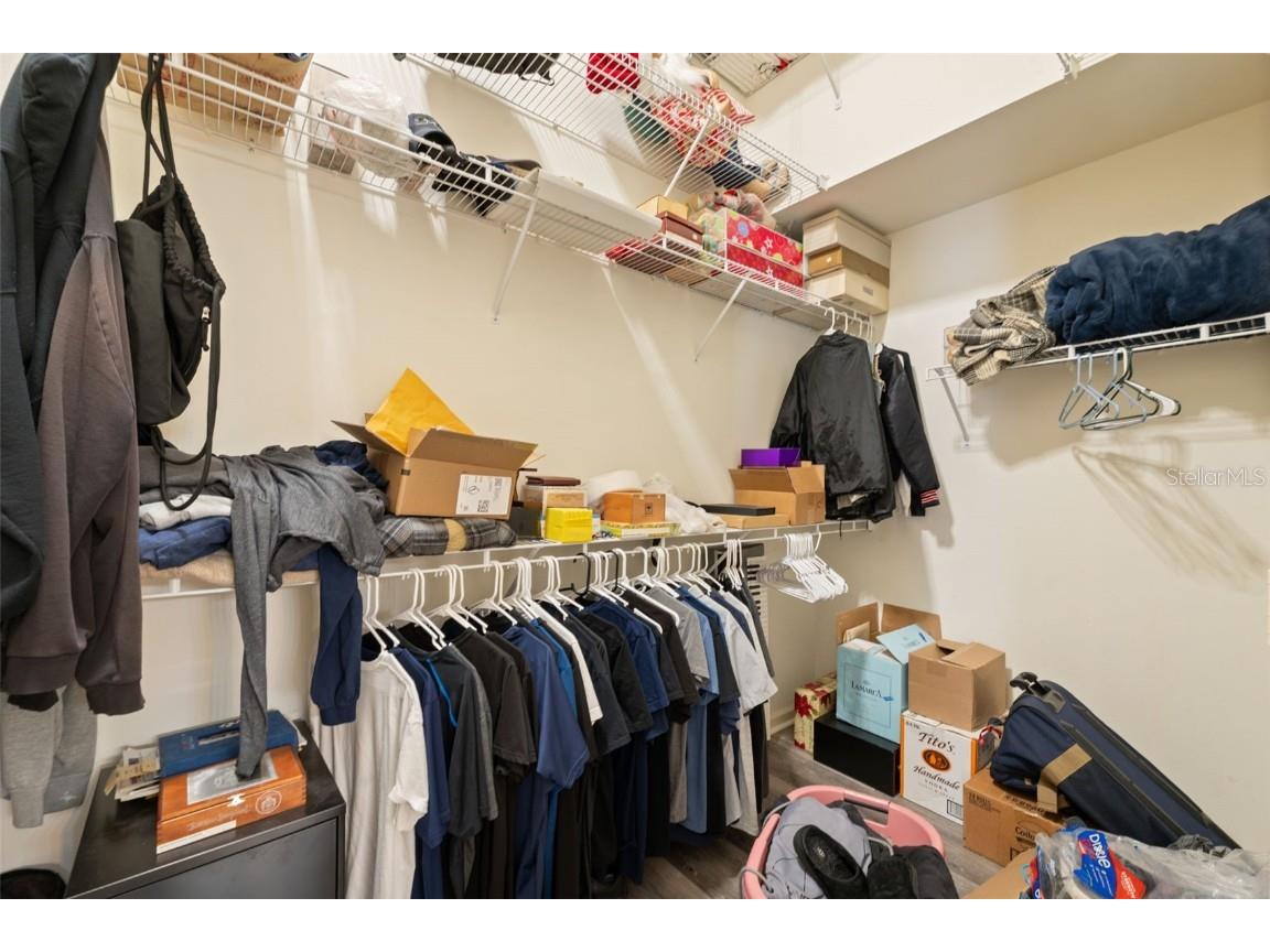 5903 War Admiral Drive Wesley Chapel FL 33544 TB8442991 image25