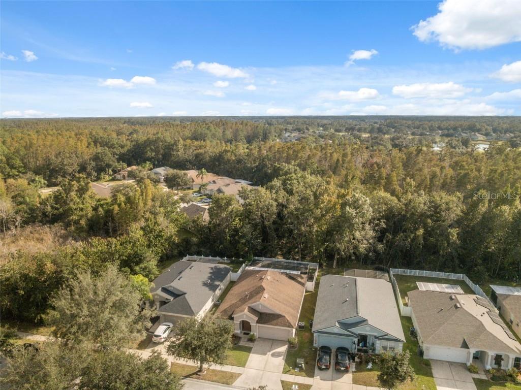 5903 War Admiral Drive Wesley Chapel FL 33544 TB8442991 image44