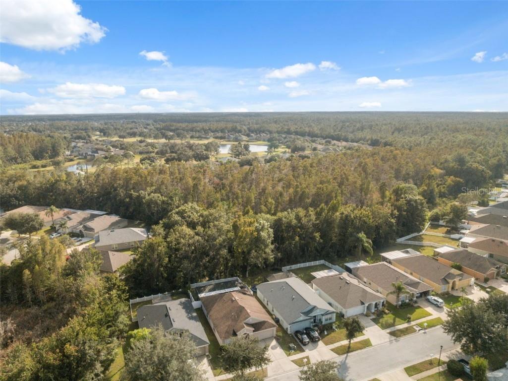 5903 War Admiral Drive Wesley Chapel FL 33544 TB8442991 image47