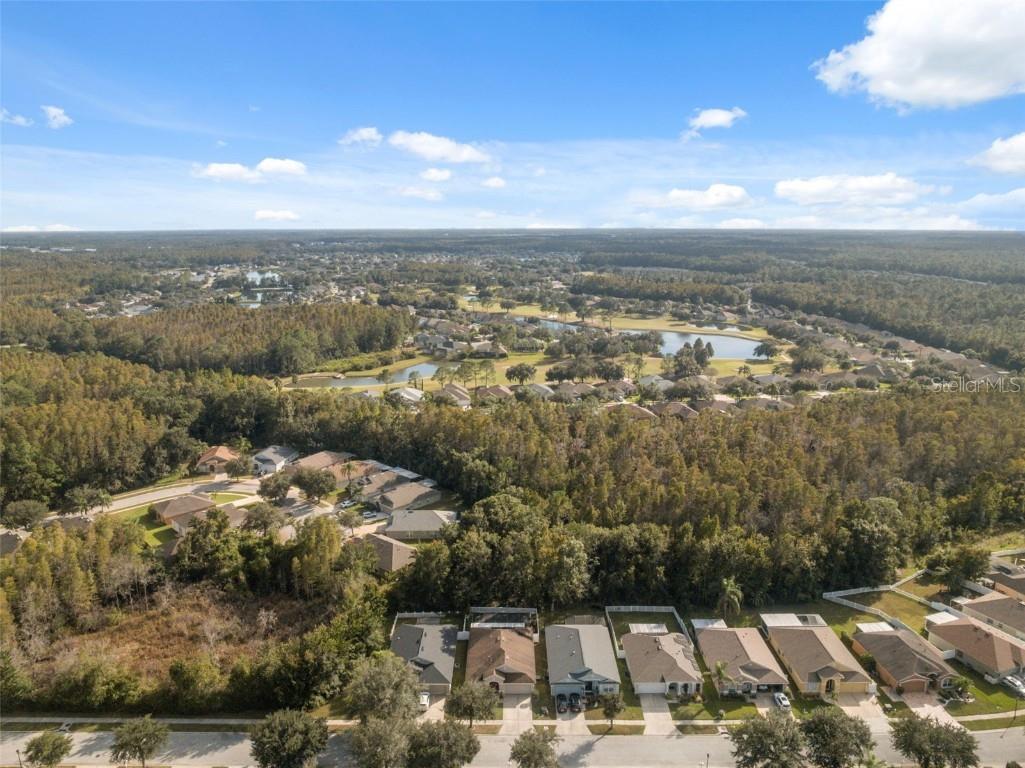 5903 War Admiral Drive Wesley Chapel FL 33544 TB8442991 image48