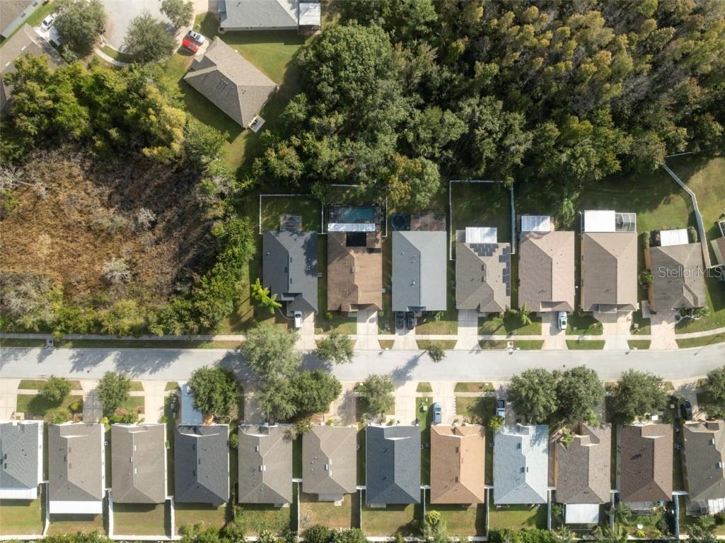 5903 War Admiral Drive Wesley Chapel FL 33544 TB8442991 image50