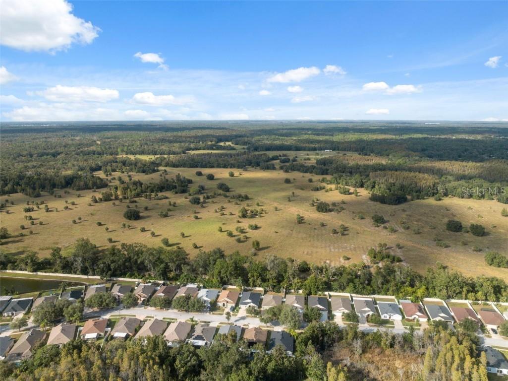 5903 War Admiral Drive Wesley Chapel FL 33544 TB8442991 image52