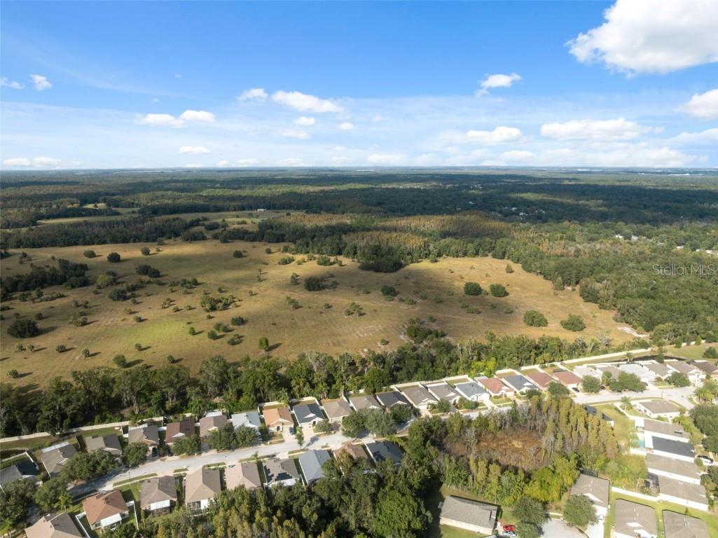 5903 War Admiral Drive Wesley Chapel FL 33544 TB8442991 image53