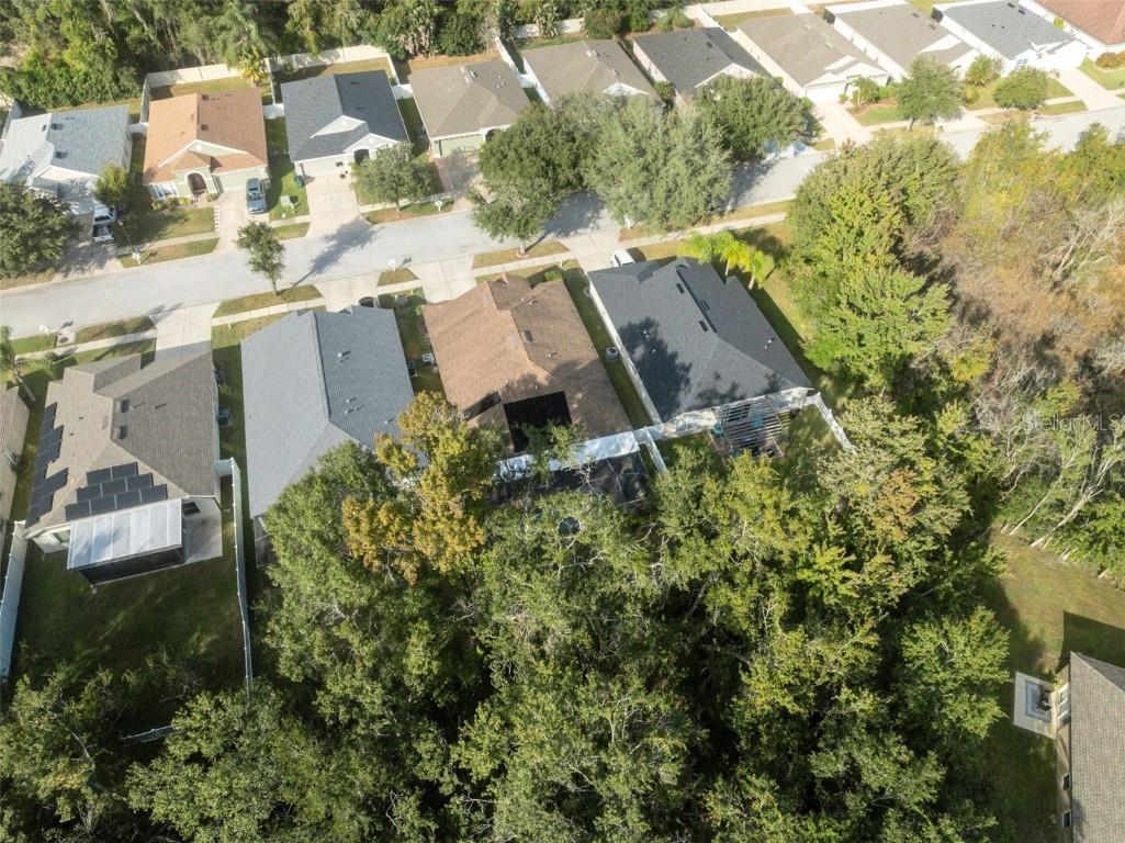 5903 War Admiral Drive Wesley Chapel FL 33544 TB8442991 image54