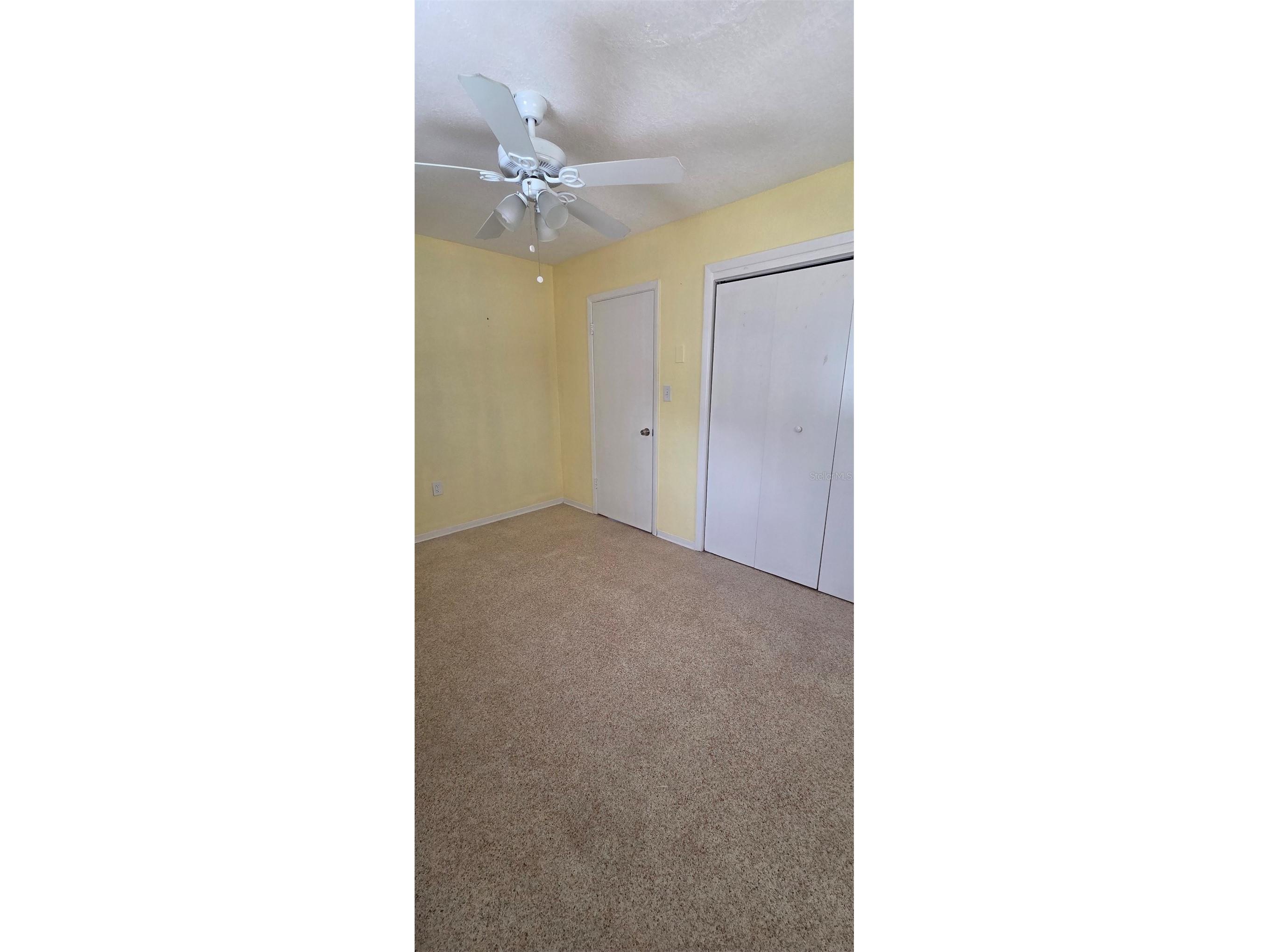 5904 Elm Street New Port Richey FL 34652 W7886648 image13