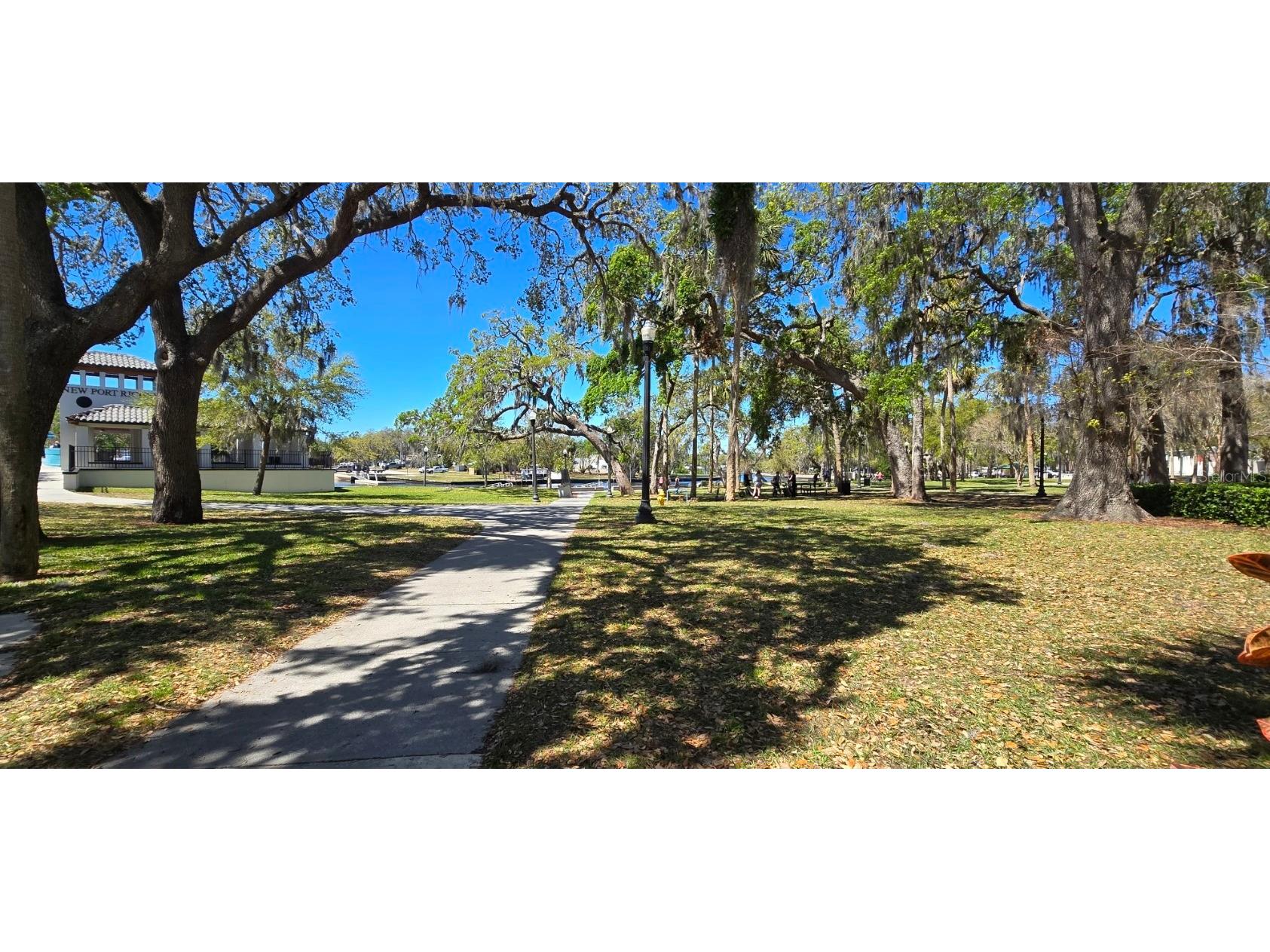 5904 Elm Street New Port Richey FL 34652 W7886648 image28