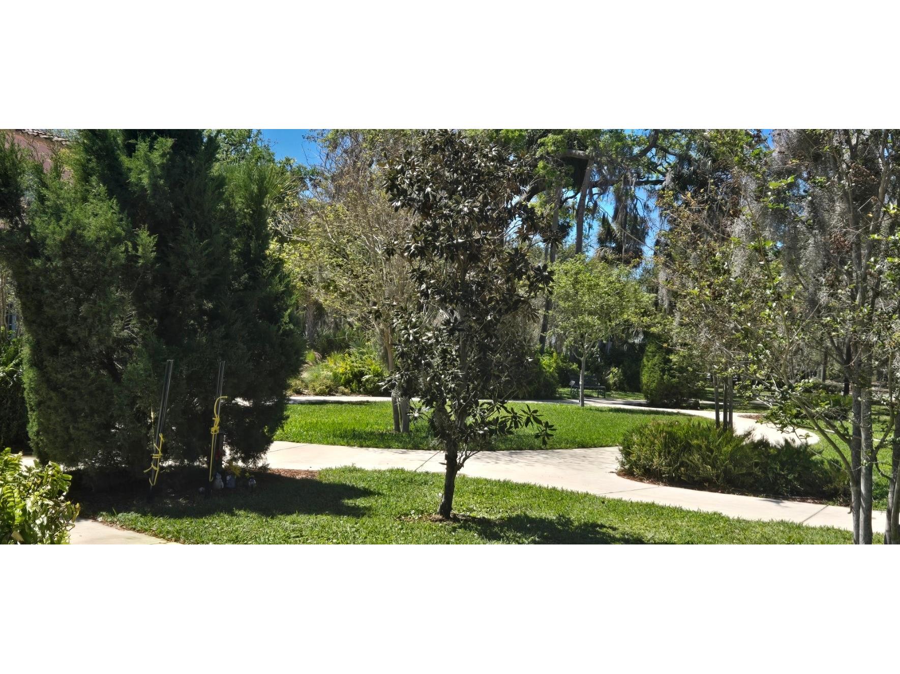 5904 Elm Street New Port Richey FL 34652 W7886648 image32
