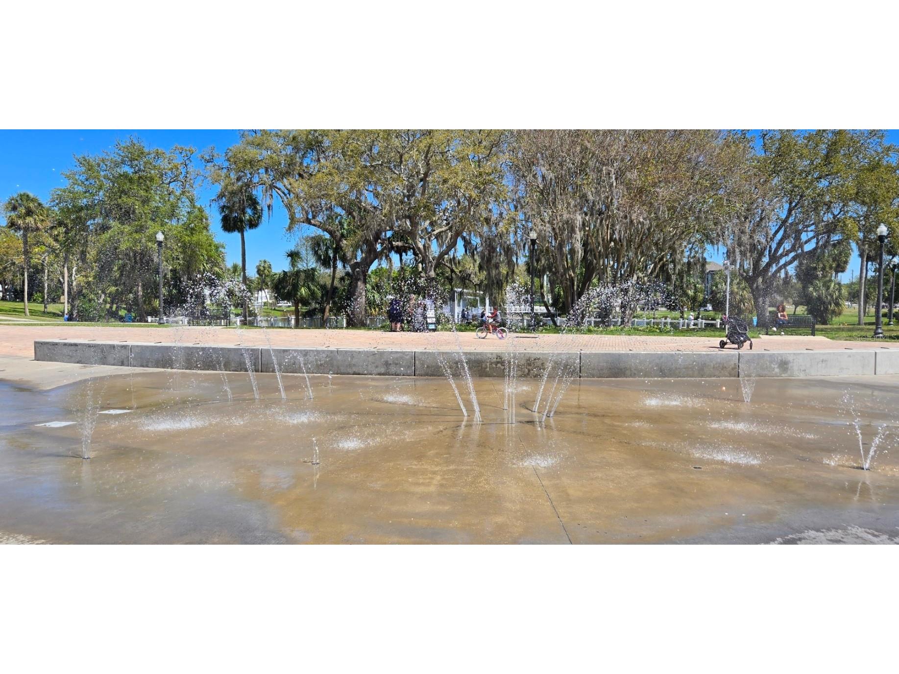 5904 Elm Street New Port Richey FL 34652 W7886648 image39