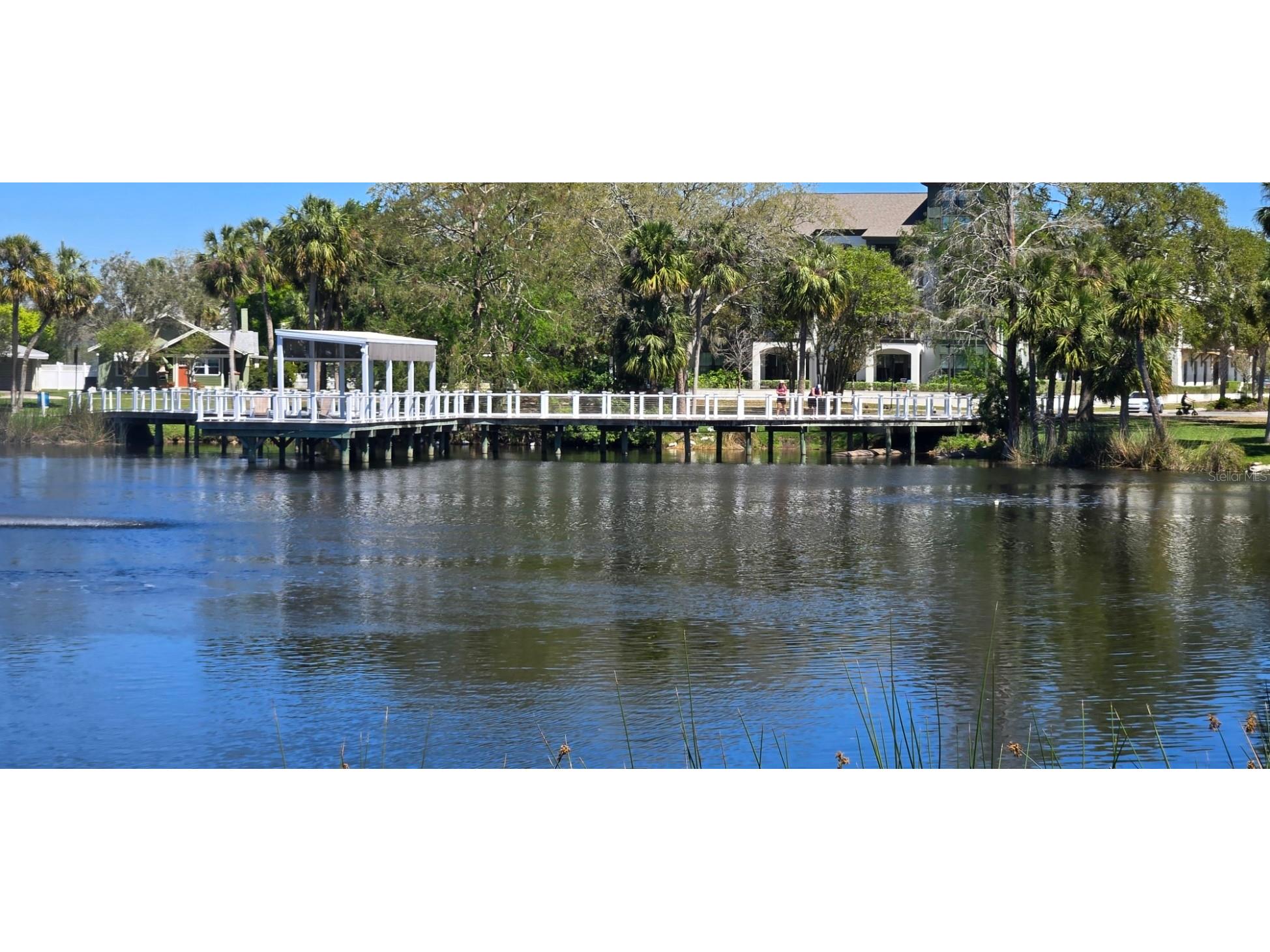 5904 Elm Street New Port Richey FL 34652 W7886648 image40