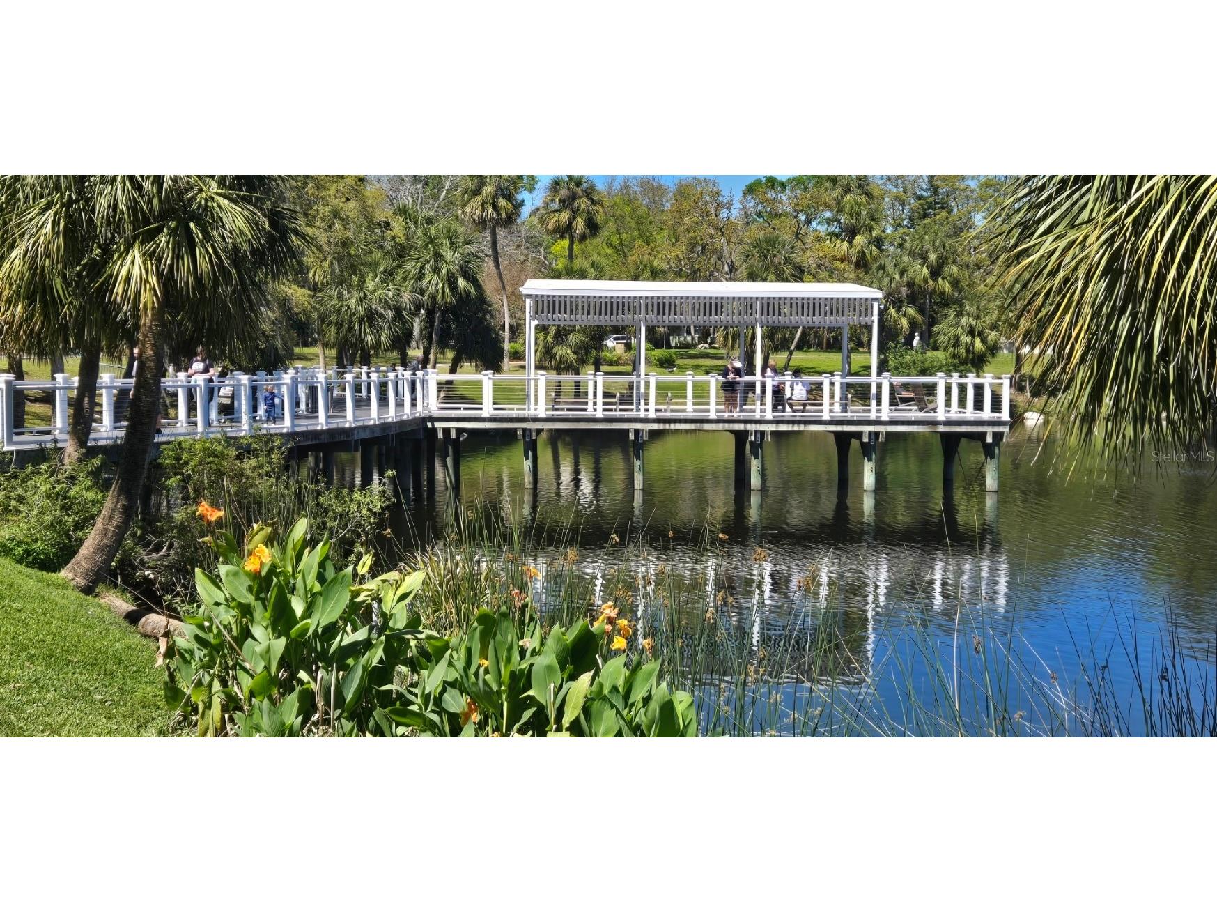 5904 Elm Street New Port Richey FL 34652 W7886648 image41