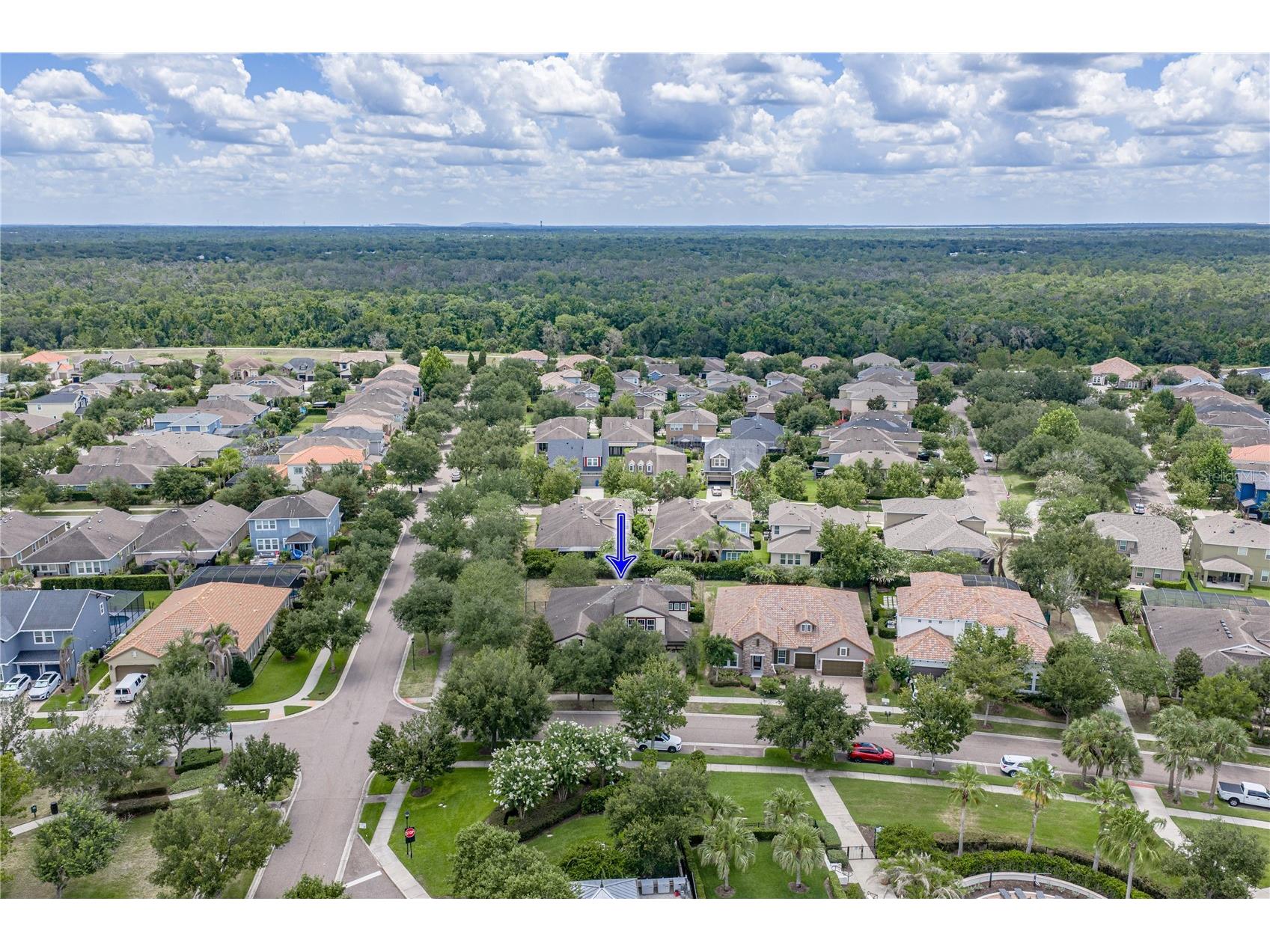 5904 Shell Ridge Drive Lithia FL 33547 TB8521866 image10