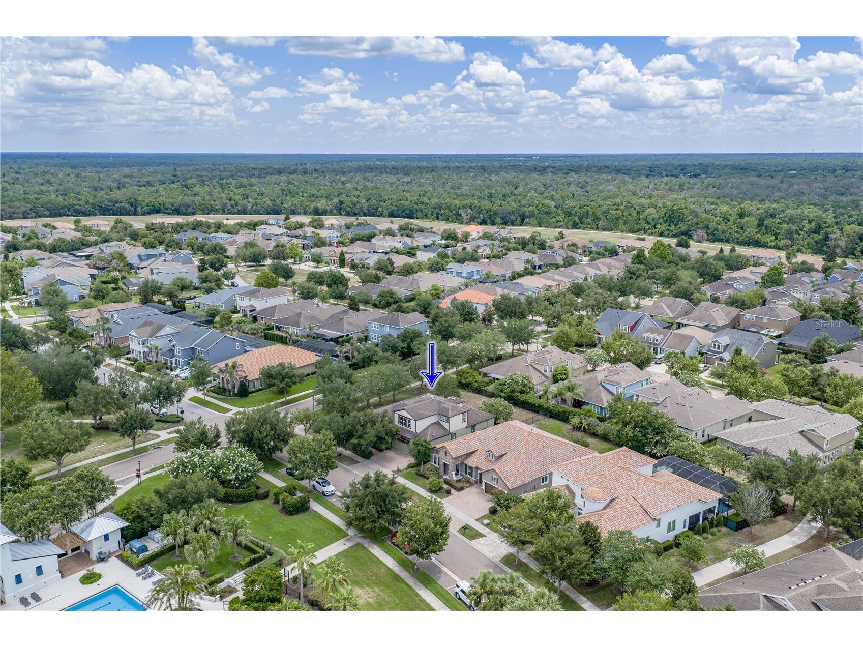 5904 Shell Ridge Drive Lithia FL 33547 TB8521866 image11