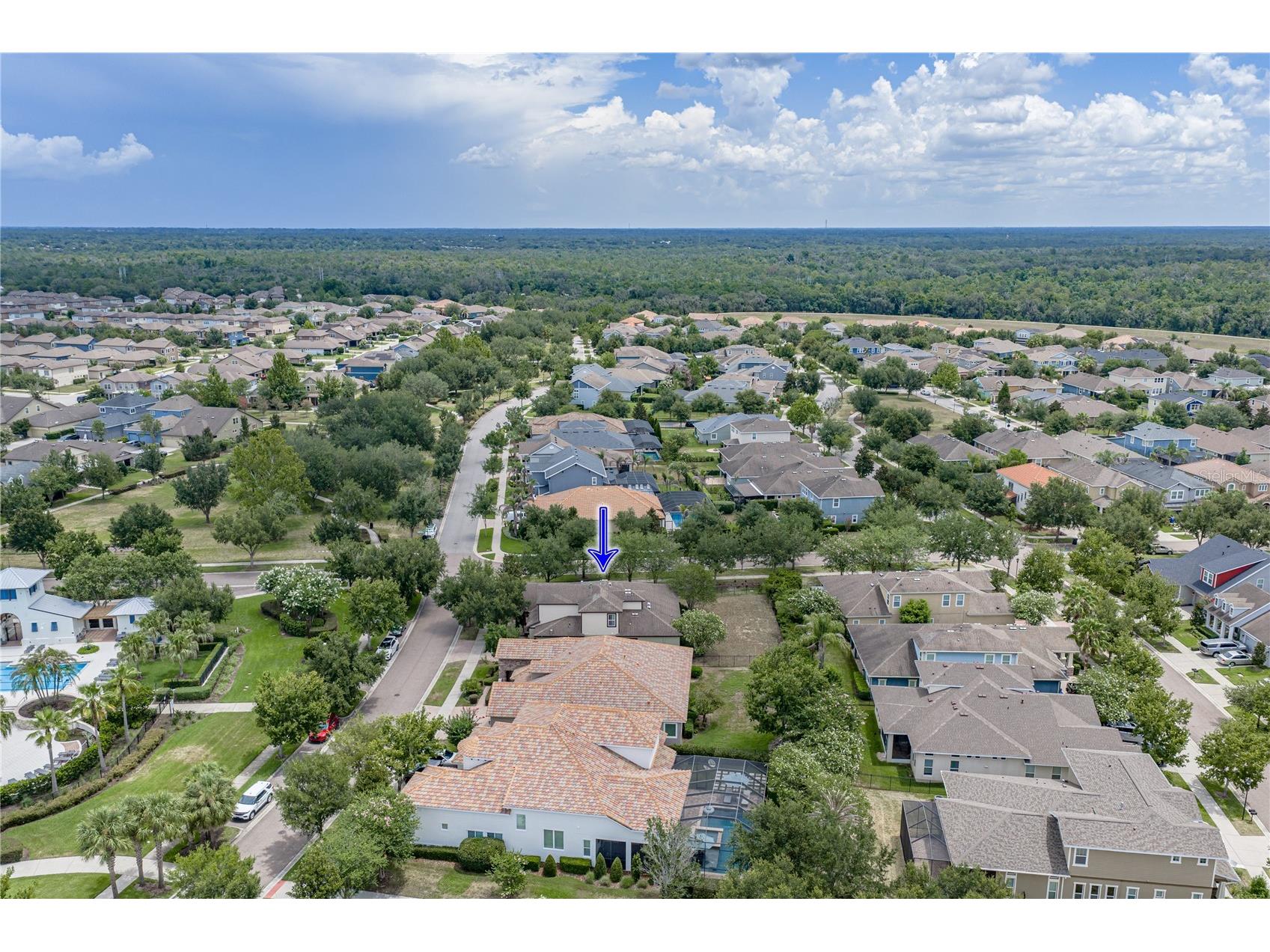 5904 Shell Ridge Drive Lithia FL 33547 TB8521866 image12